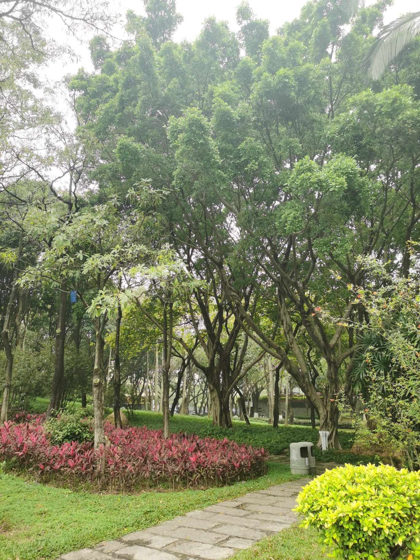 西南公园旅行图片 1
