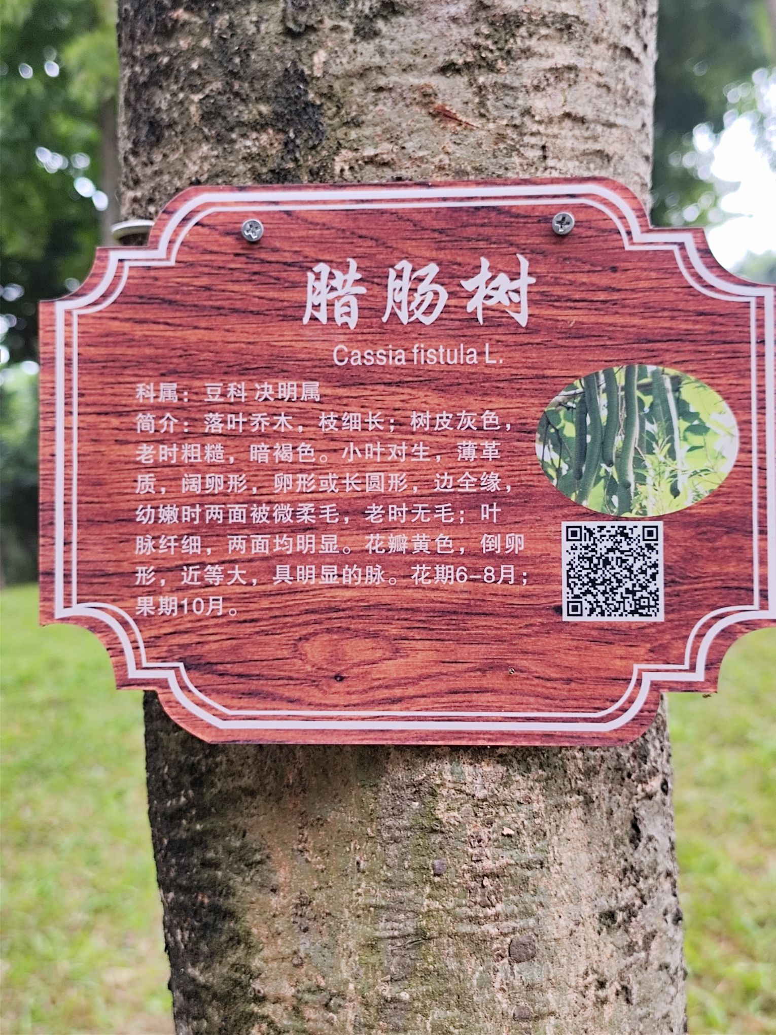 西南公园旅行图片 3