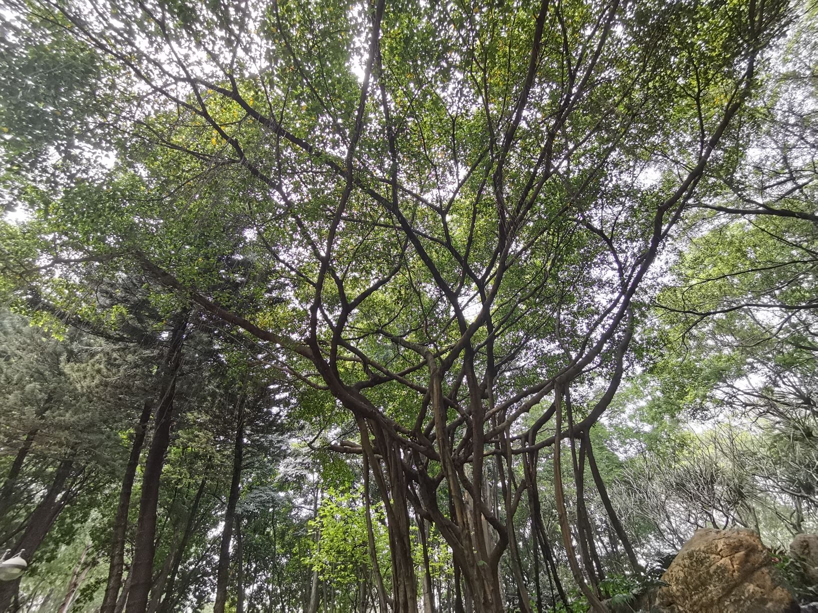 西南公园旅行图片 2