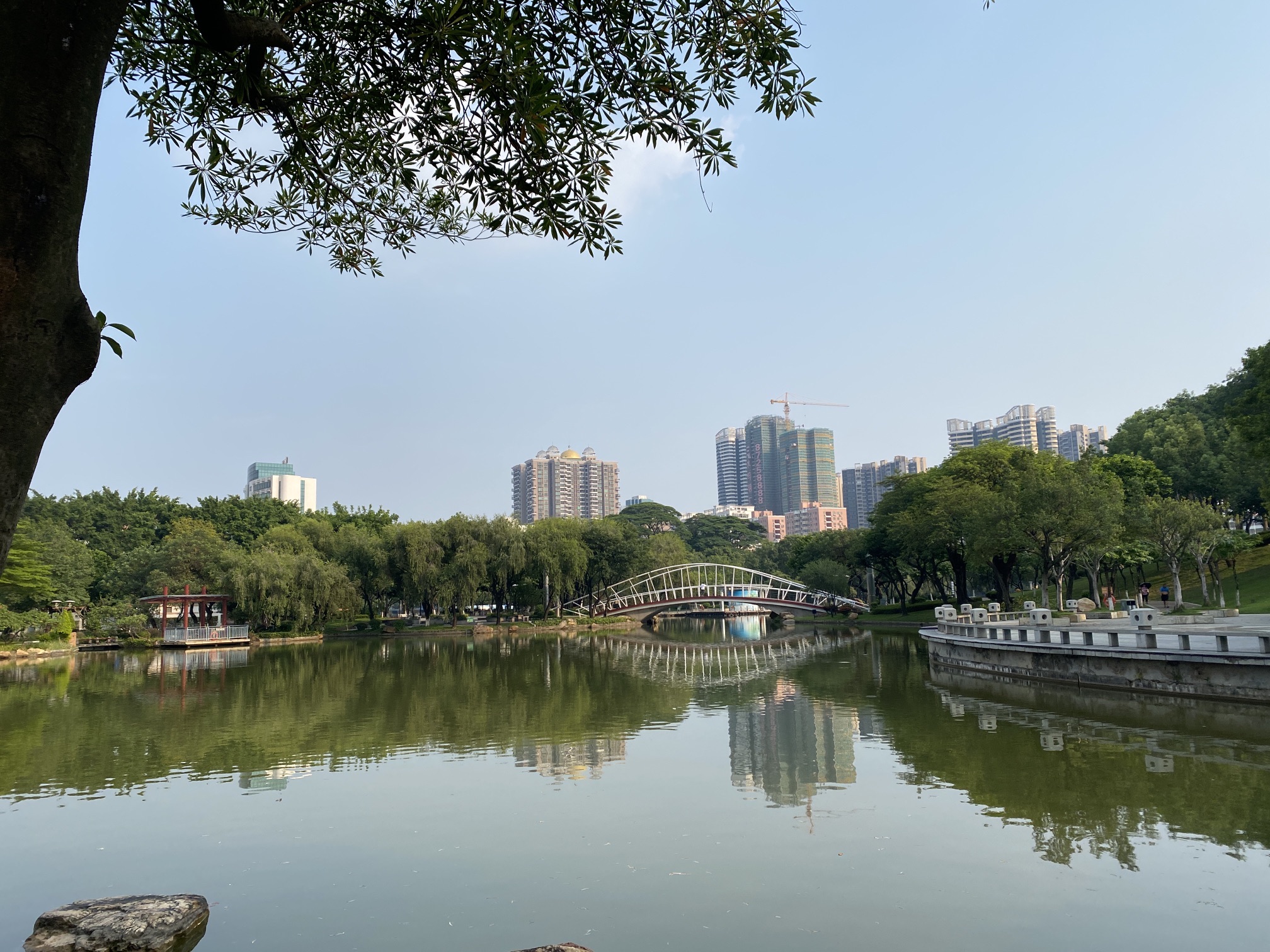 西南公园旅行图片 3
