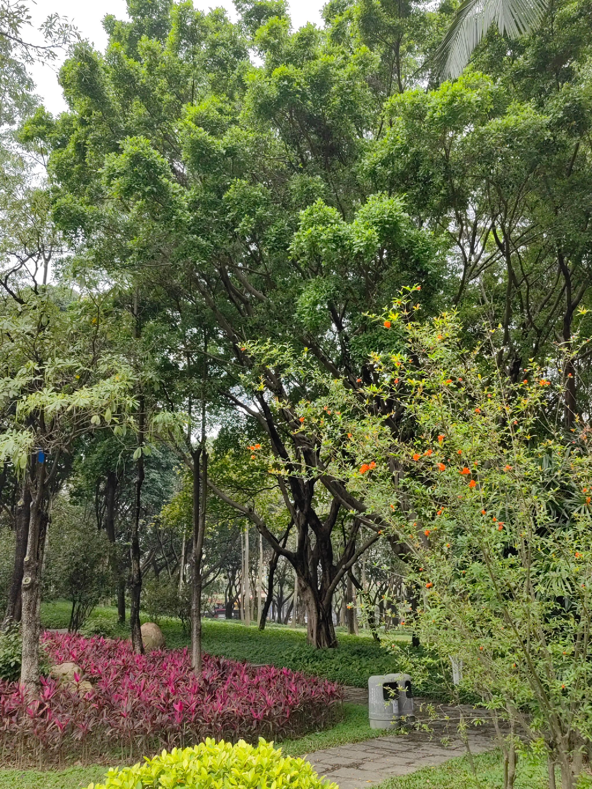 西南公园旅行图片 1