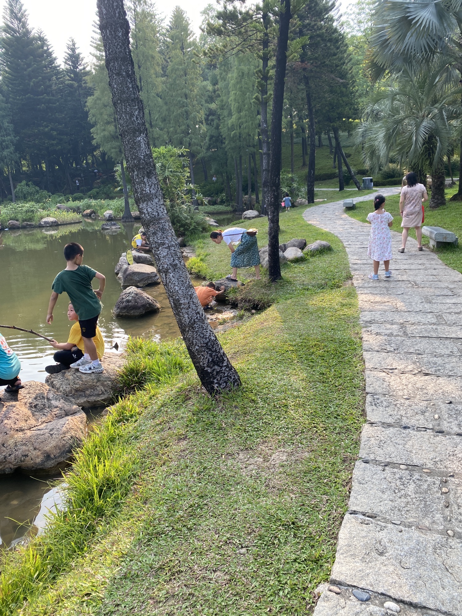 西南公园旅行图片 1