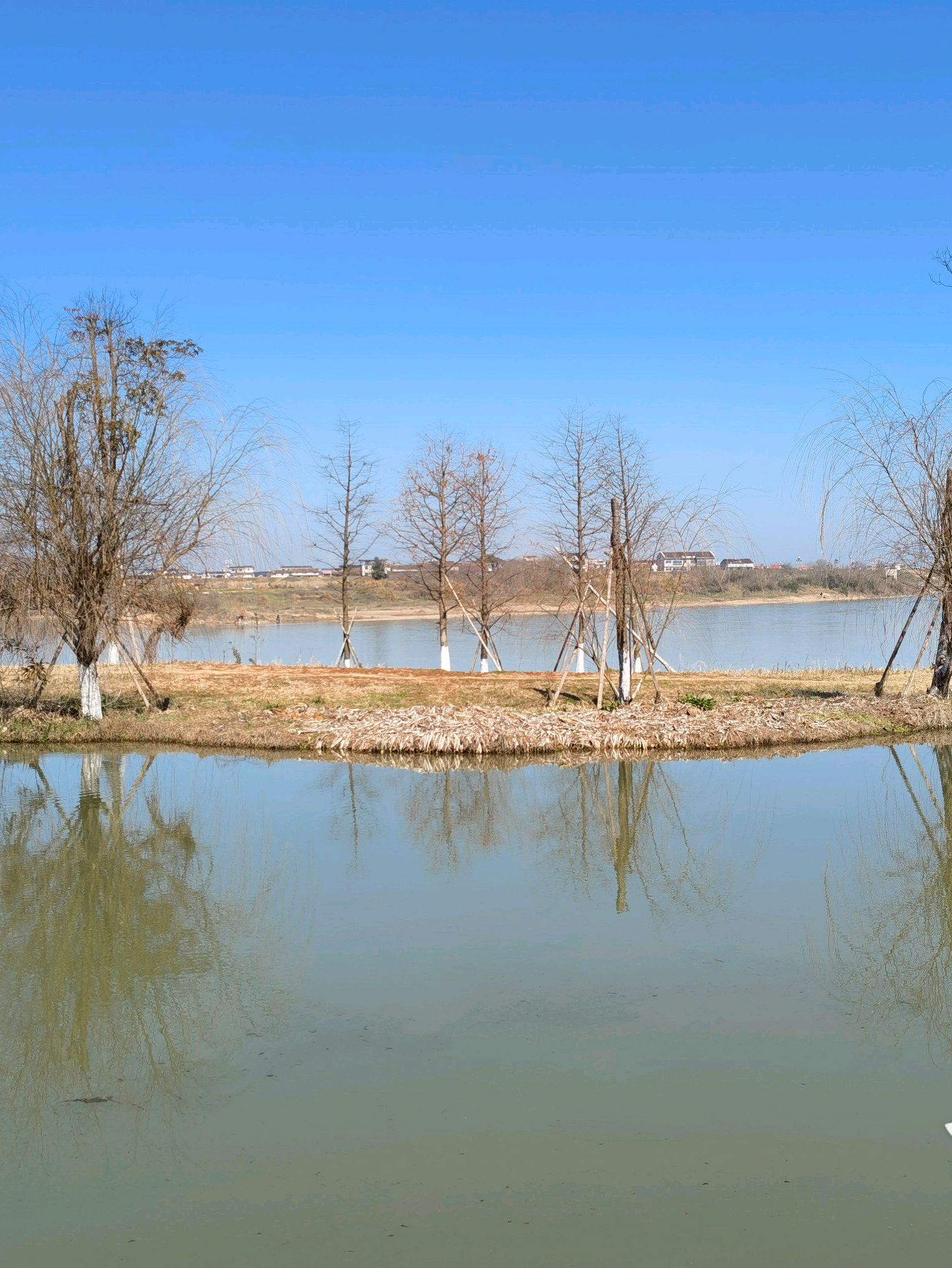 抚河湿地公园旅行图片 2