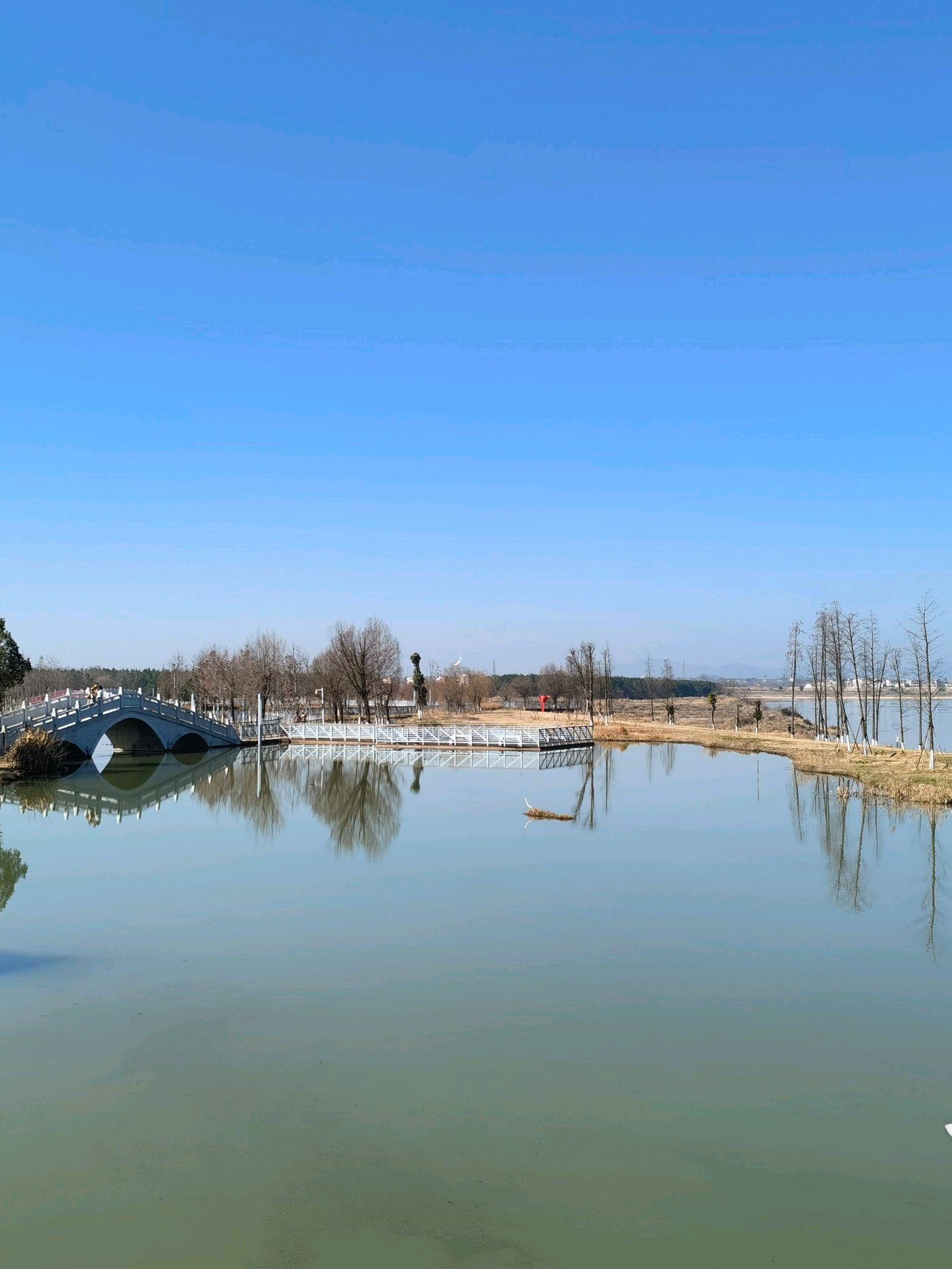 抚河湿地公园