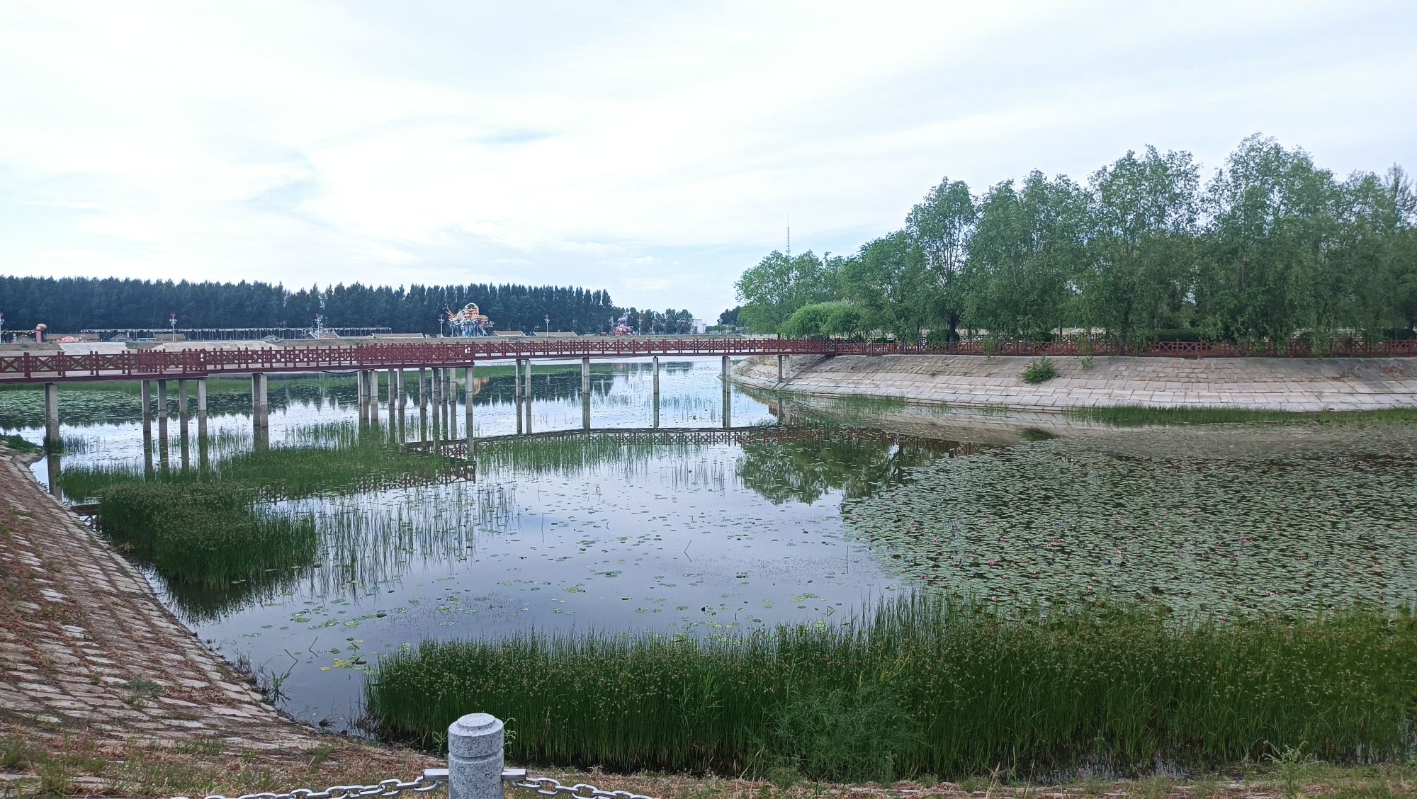 锦湖湿地公园旅行图片 1