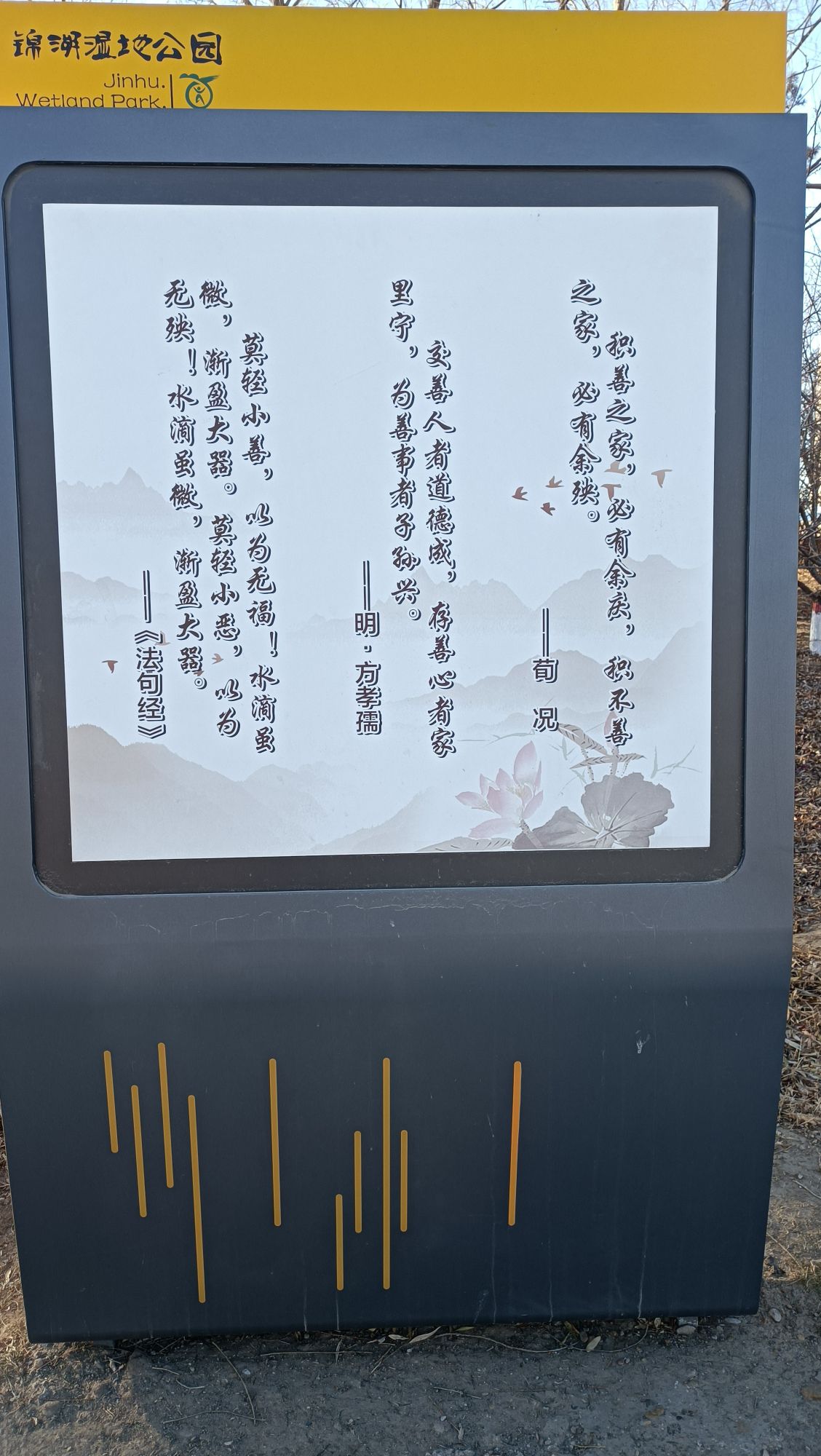 锦湖湿地公园旅行图片 2
