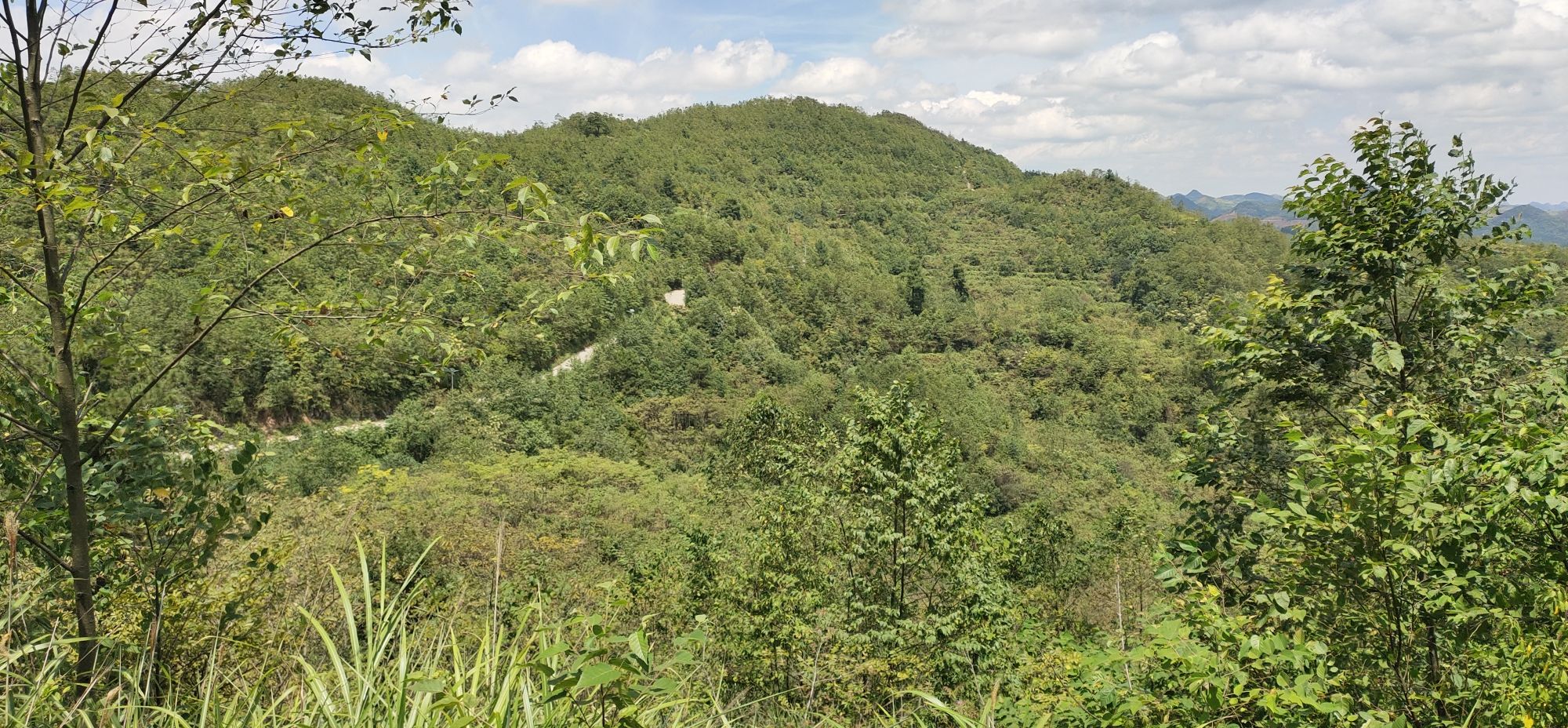 安顺药王谷旅行图片 1