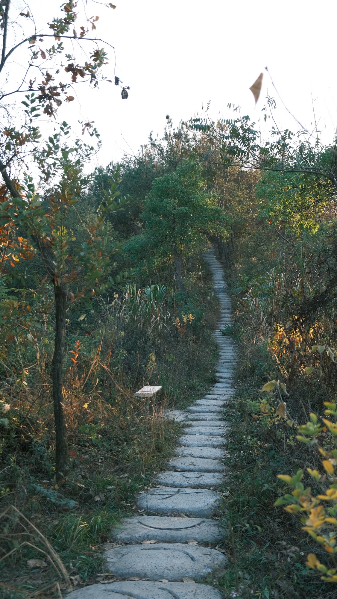 长沙北山森林公园