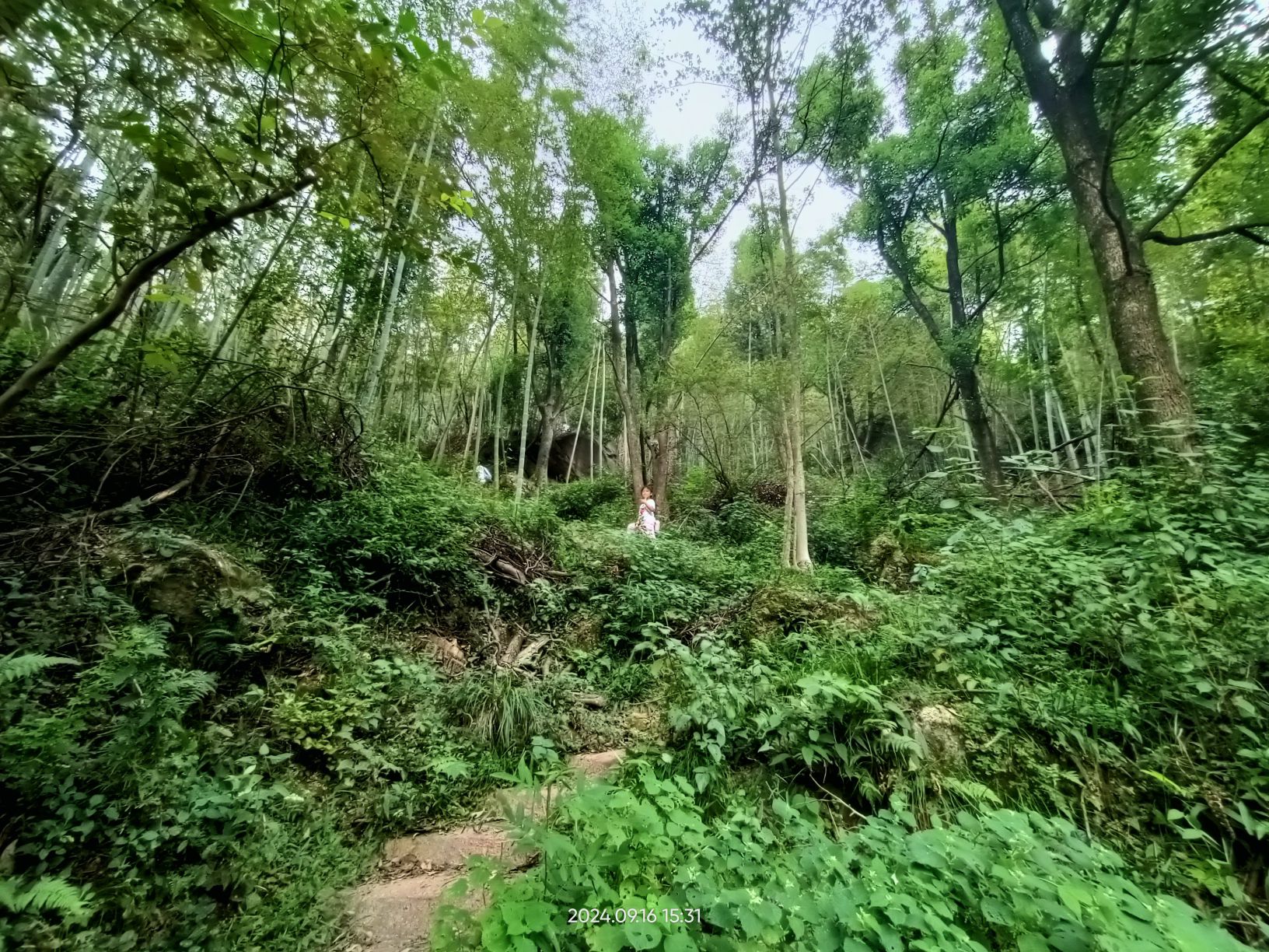 长沙北山森林公园旅行图片 3