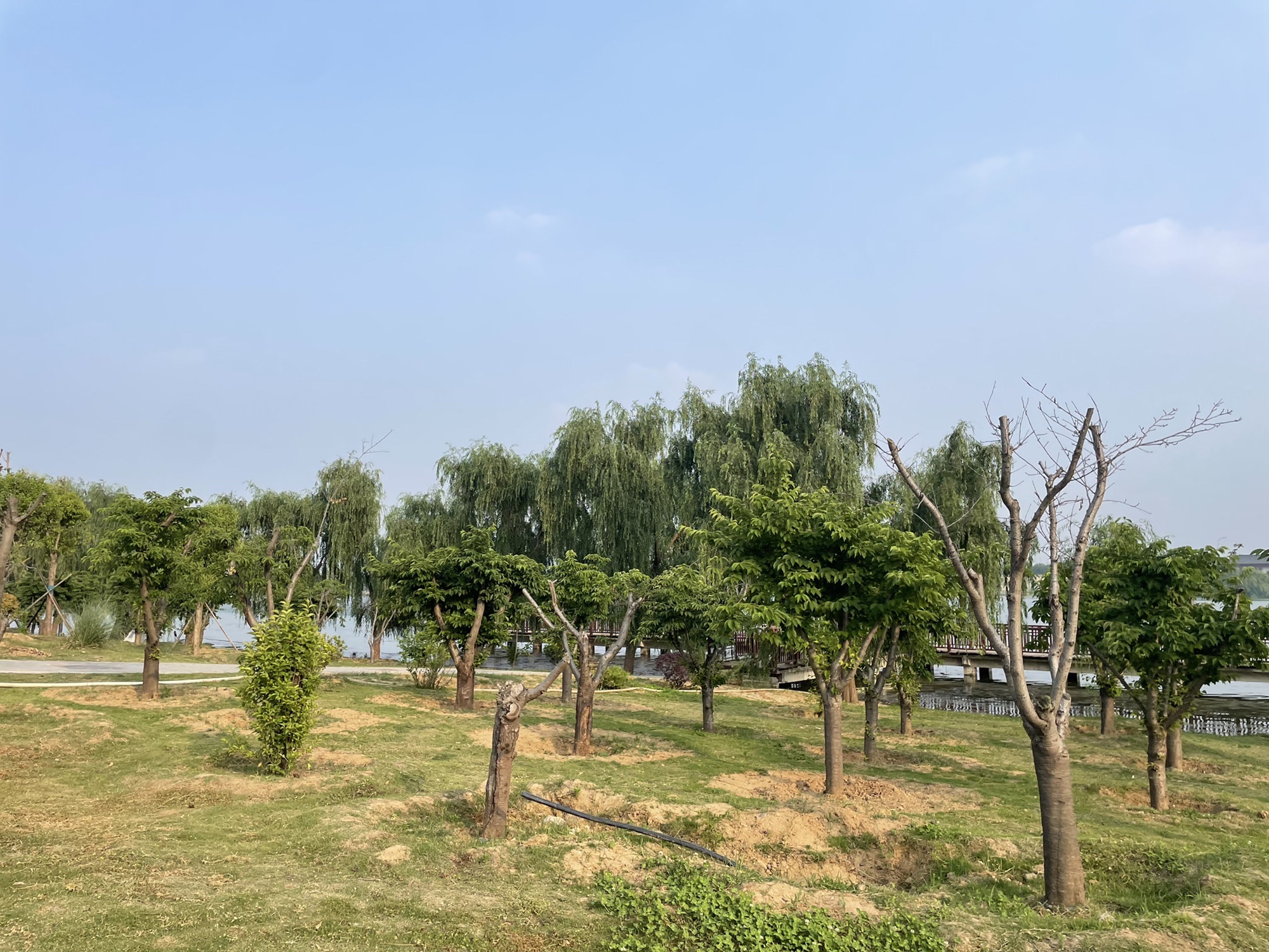 瀍壑朱樱旅行图片 2