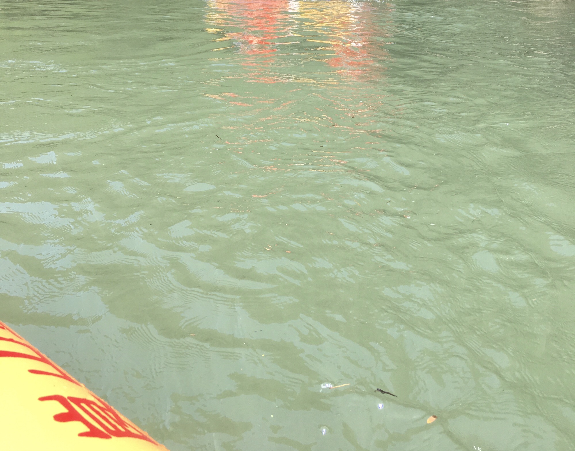 鲤溪漂流景区旅行图片 3