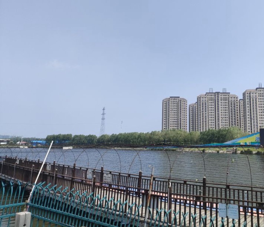长春市青年公园旅行图片 3