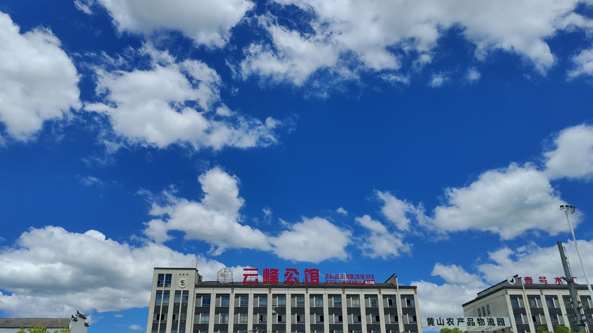 中国供销大别山农产品批发市场特色农产品市场