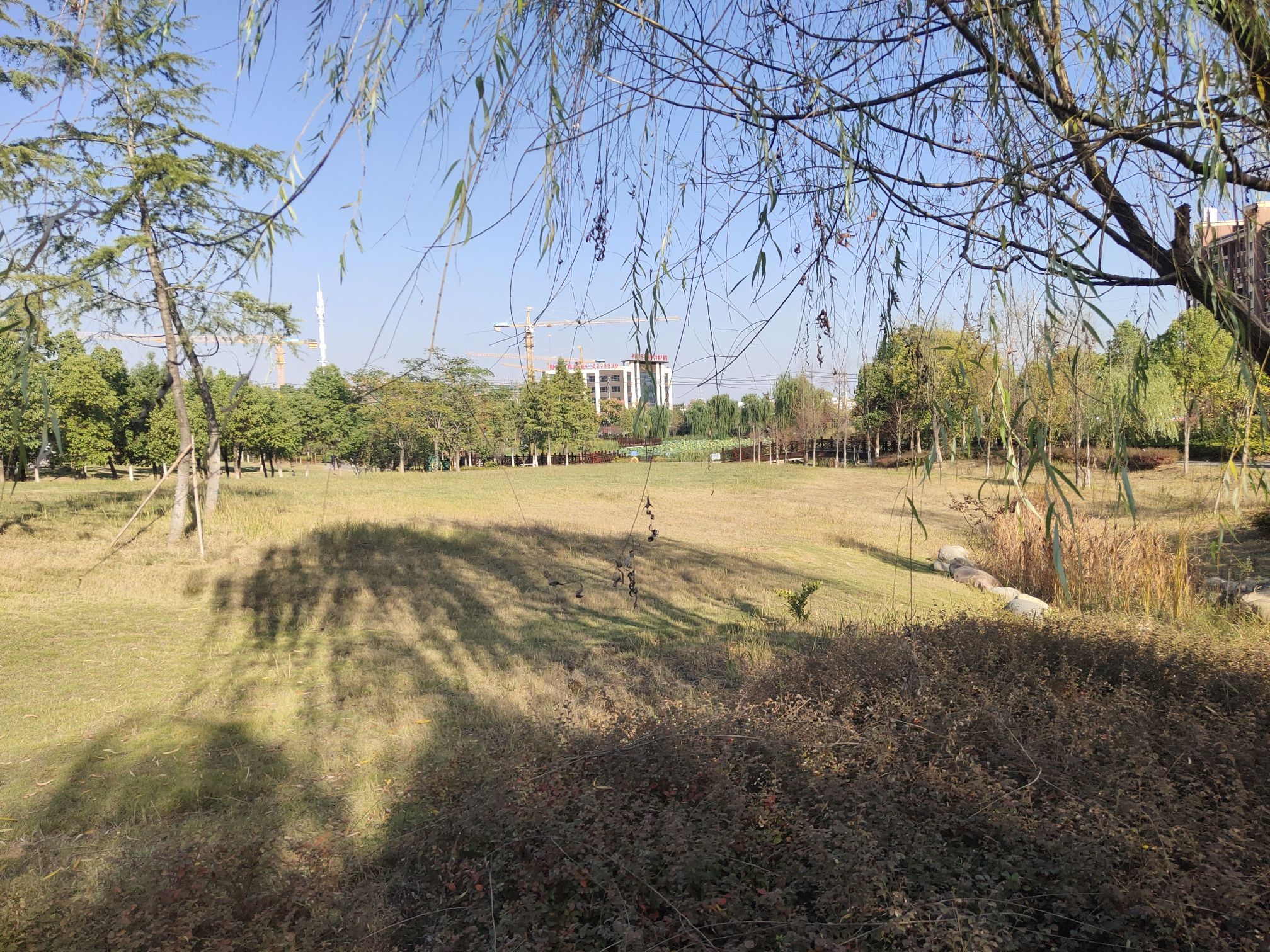 青年公园旅行图片 1