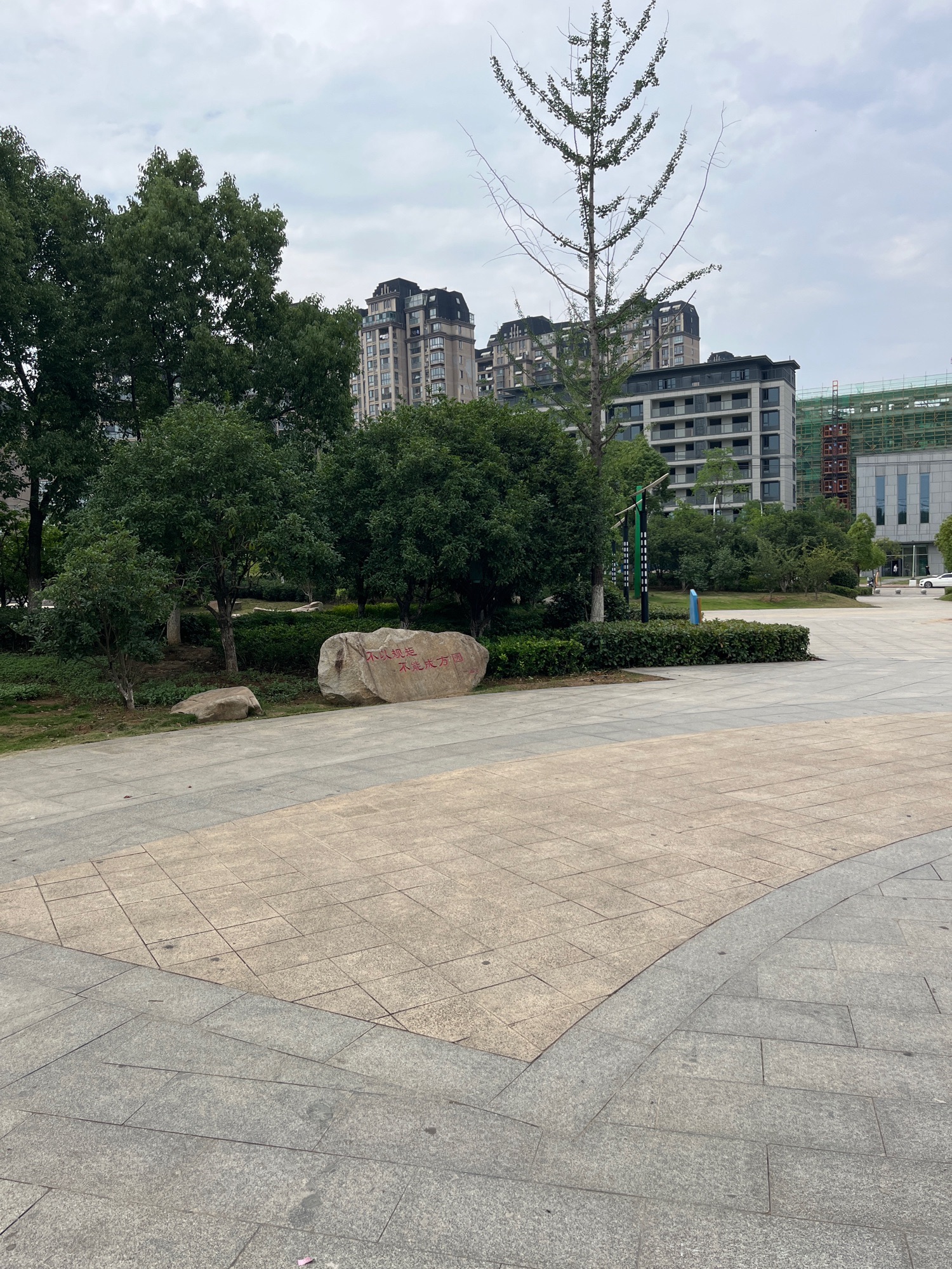 青年公园旅行图片 2