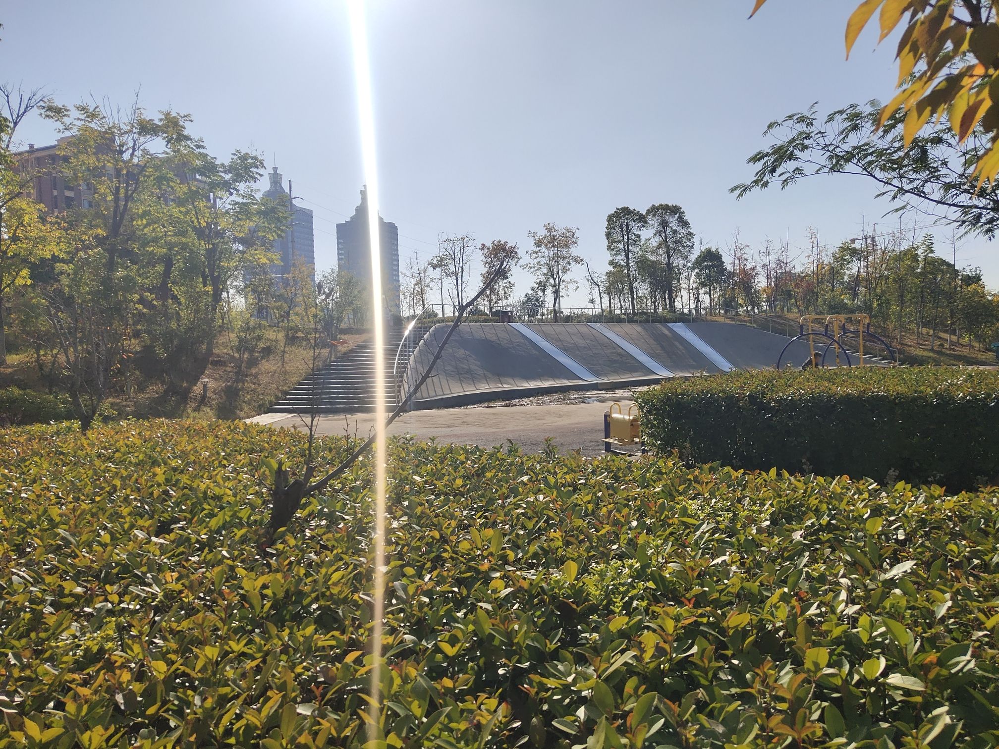 青年公园旅行图片 2