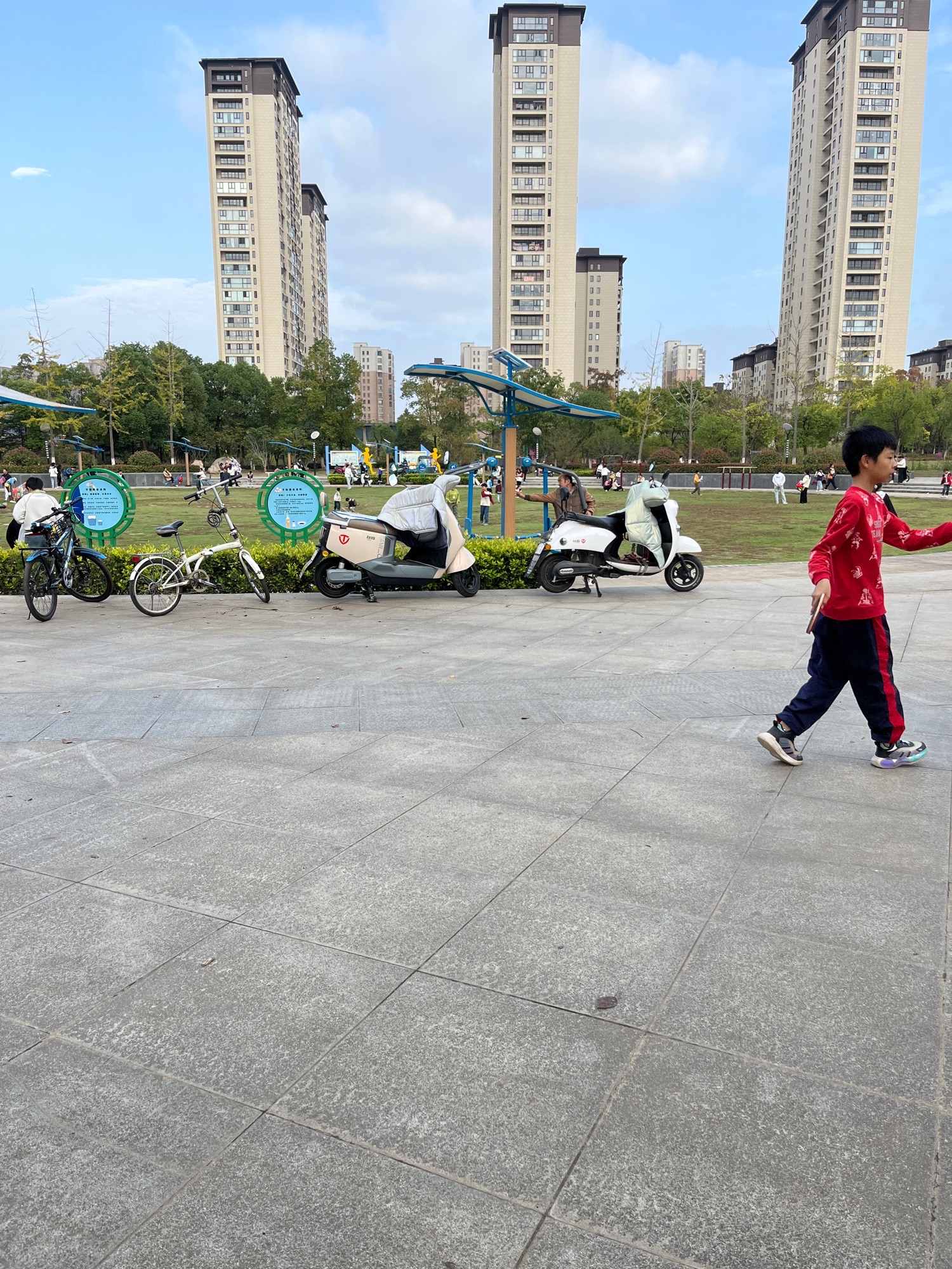 青年公园旅行图片 1