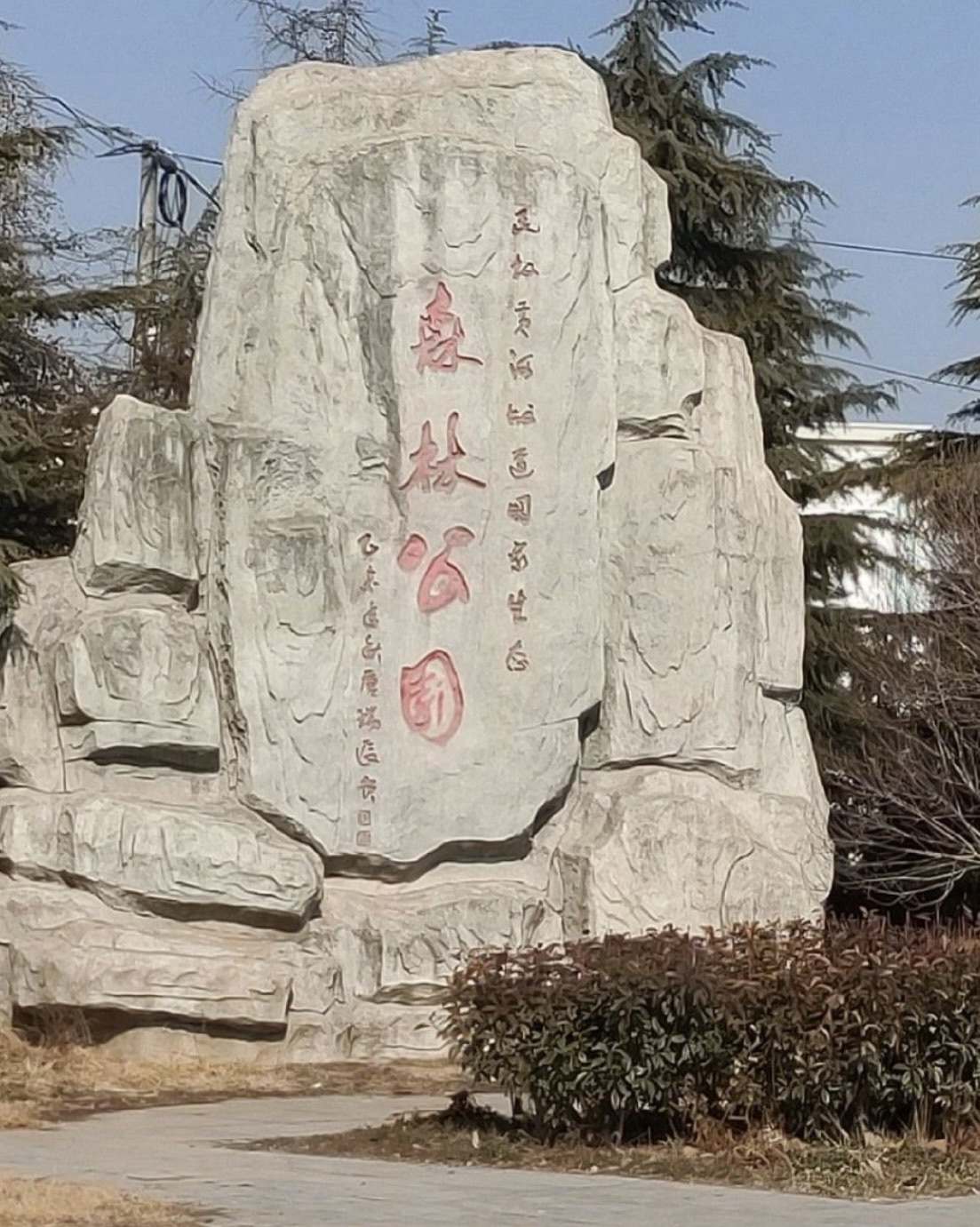 民权国家森林公园旅行图片 1