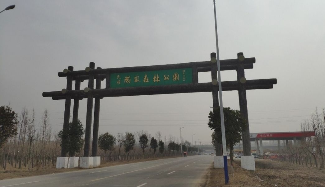民权国家森林公园旅行图片 1