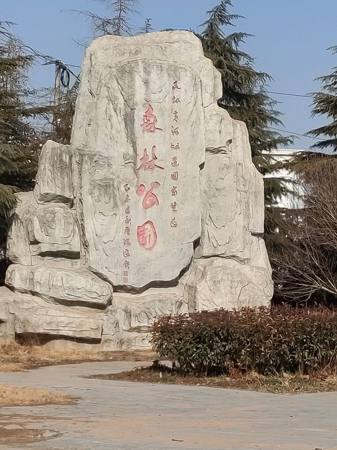 民权国家森林公园旅行图片 1