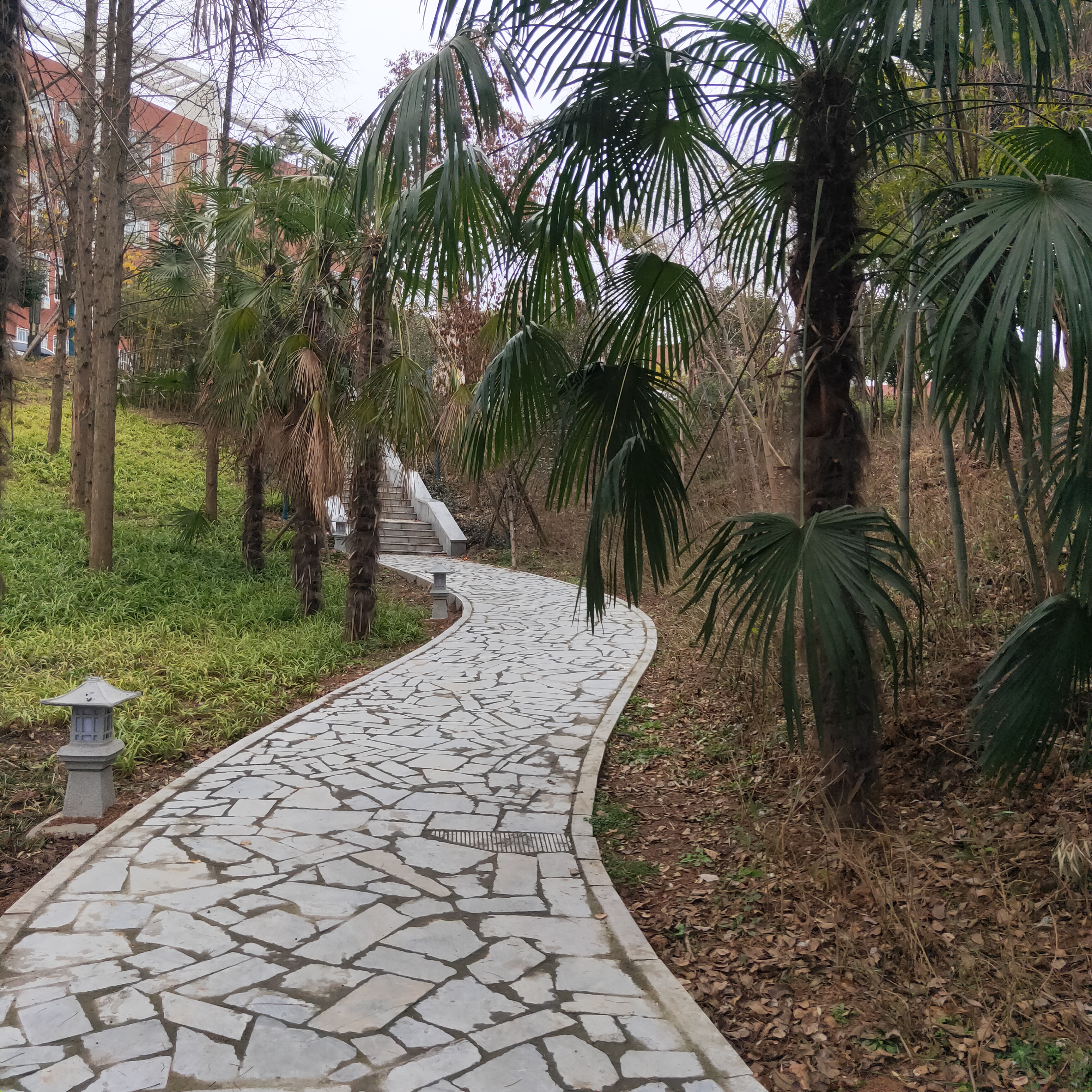 竹林寺公园旅行图片 1
