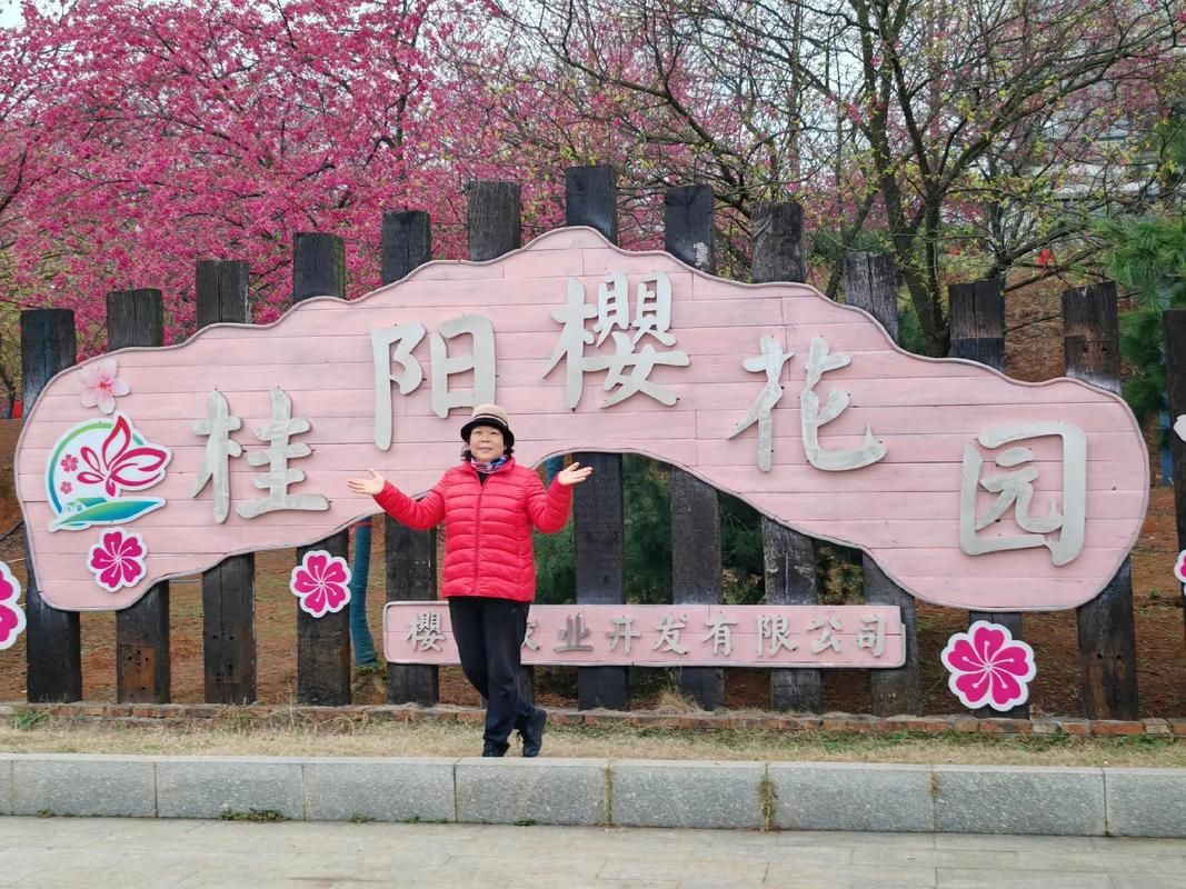桂阳樱花园旅行图片 3