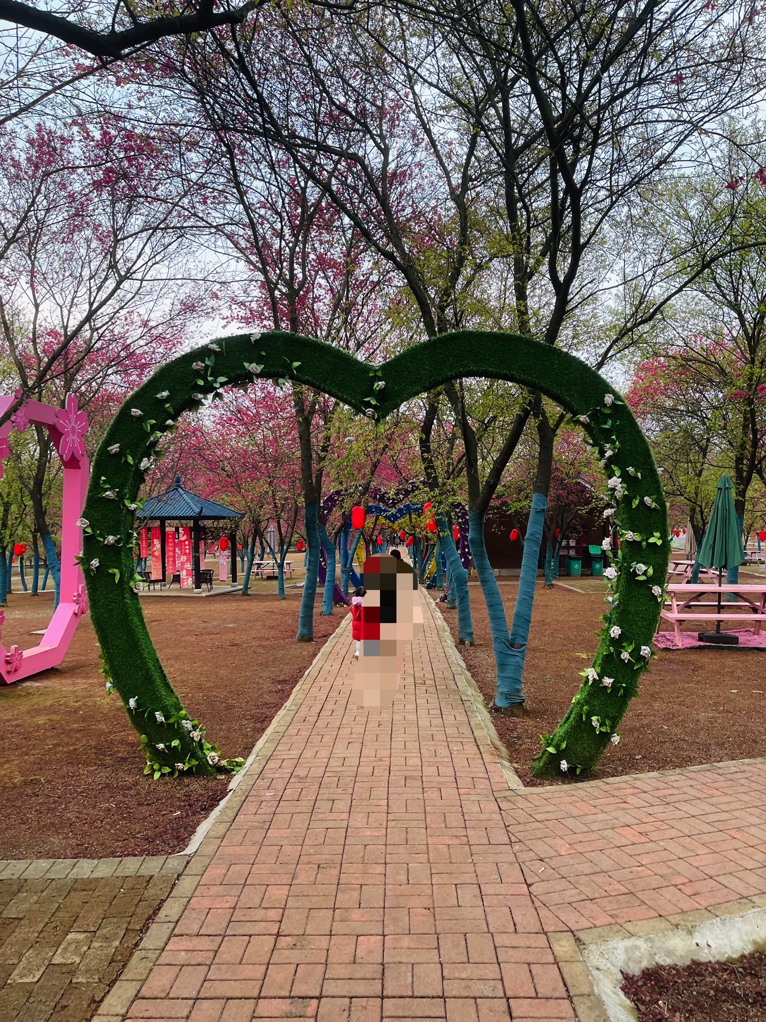 桂阳樱花园旅行图片 3
