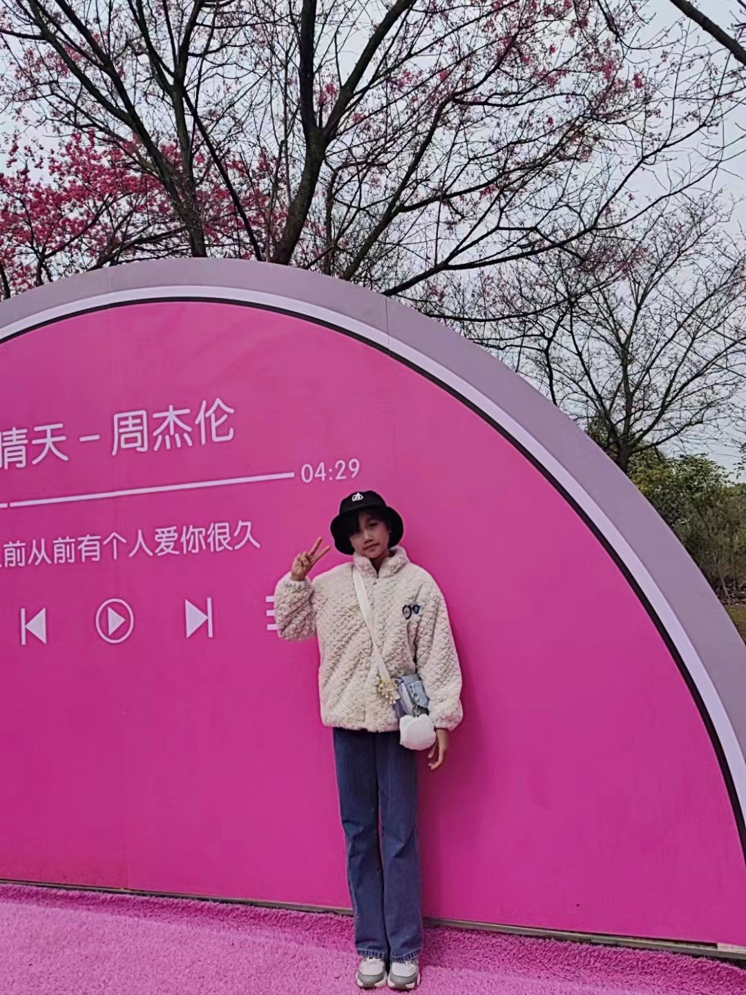 桂阳樱花园旅行图片 2