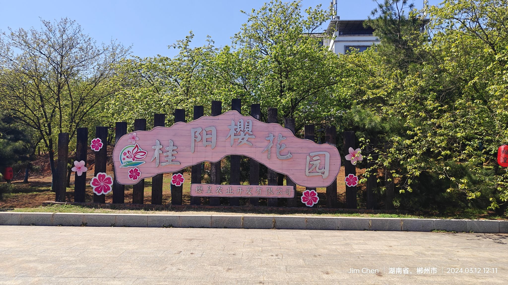 桂阳樱花园旅行图片 1