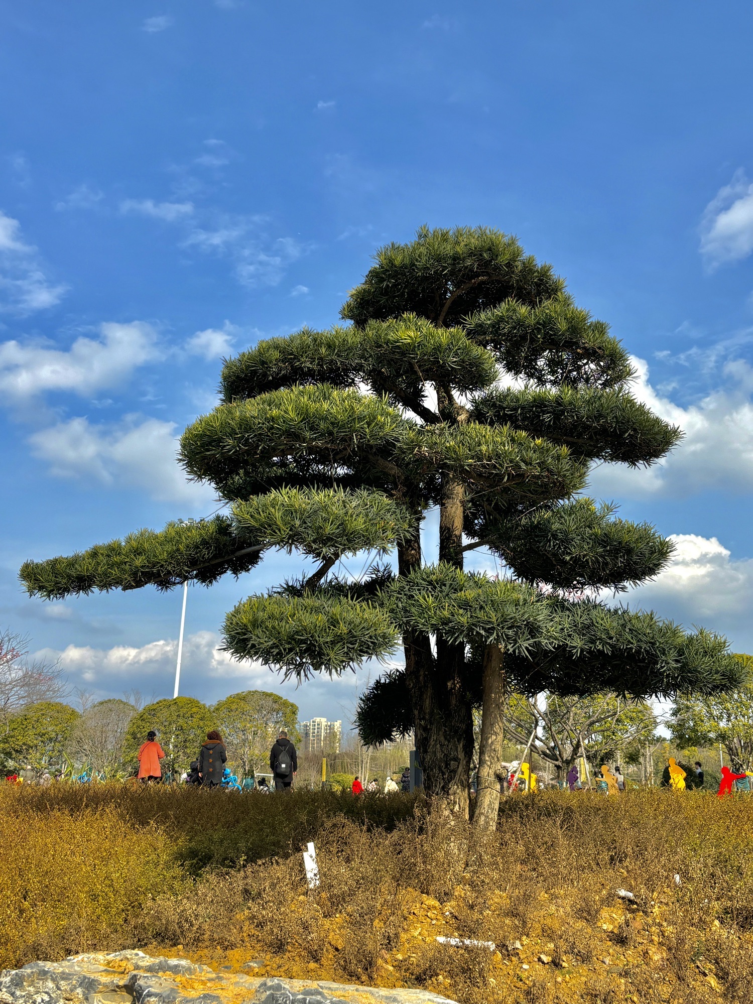 南充市城北公园旅行图片 2