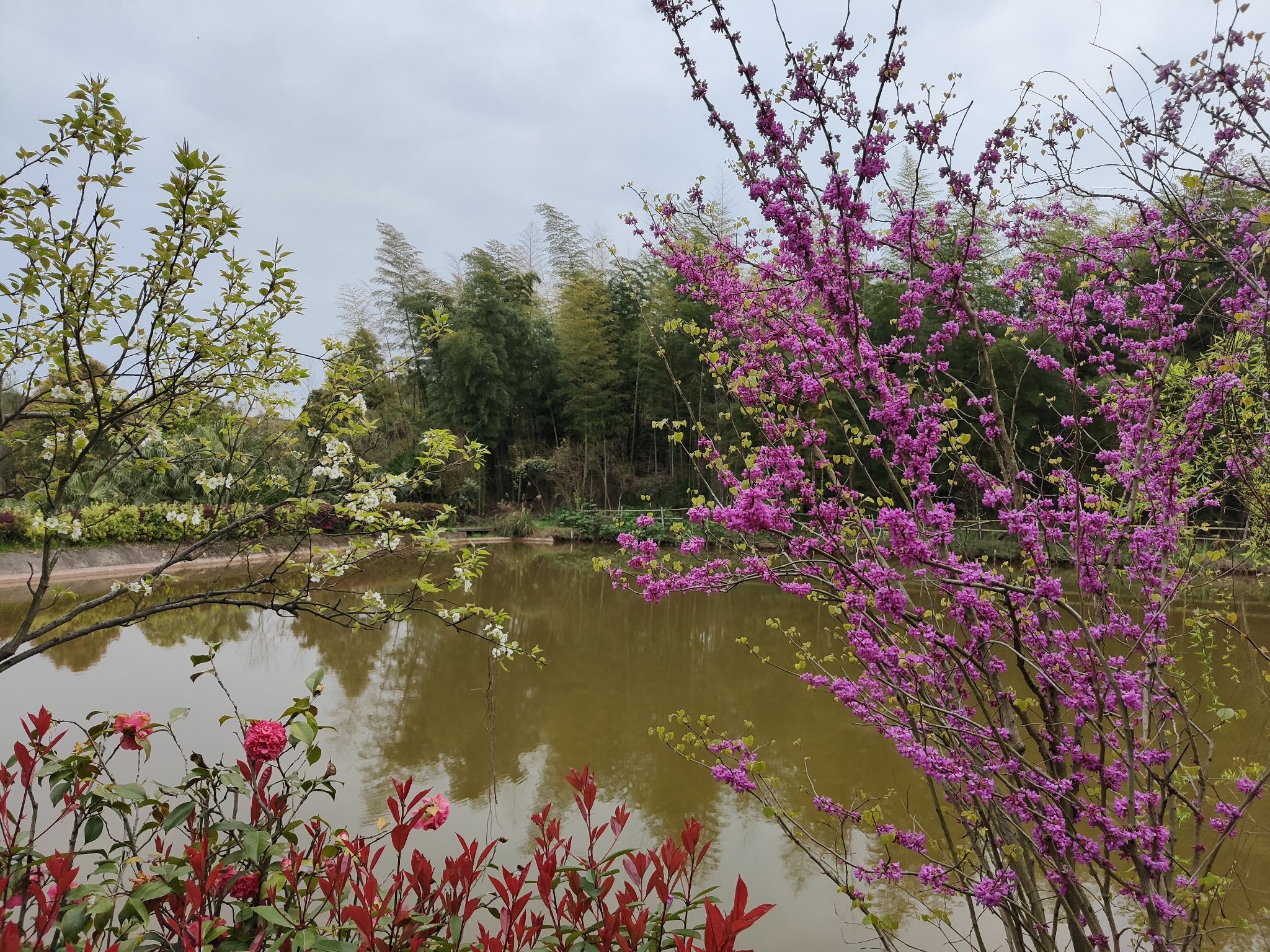 三担湖公园旅行图片 3