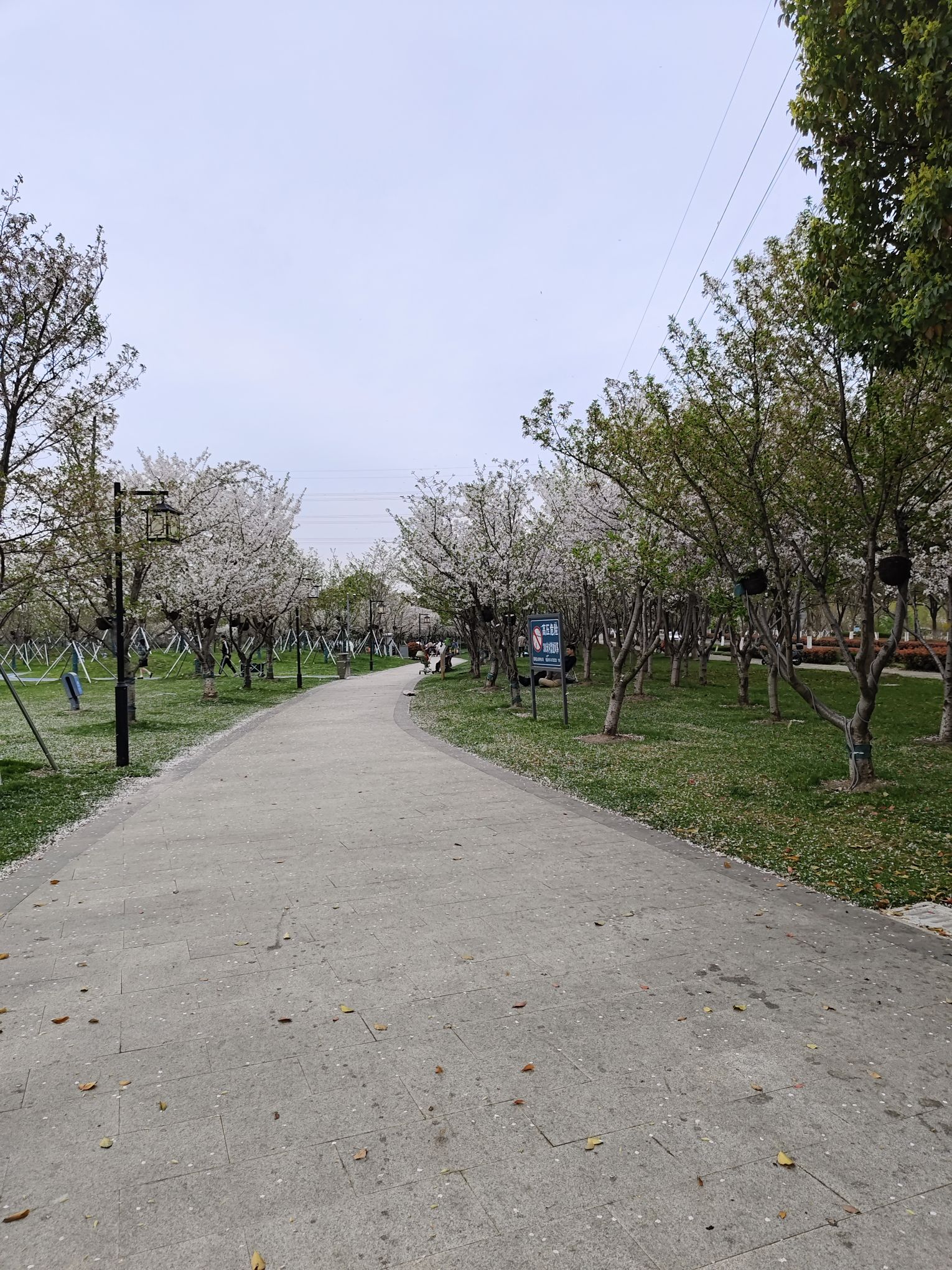 昆山体育生态公园旅行图片 3
