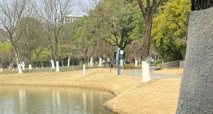 昆山体育生态公园旅行图片 1