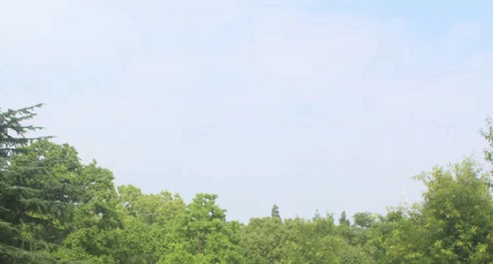 昆山体育生态公园旅行图片 2
