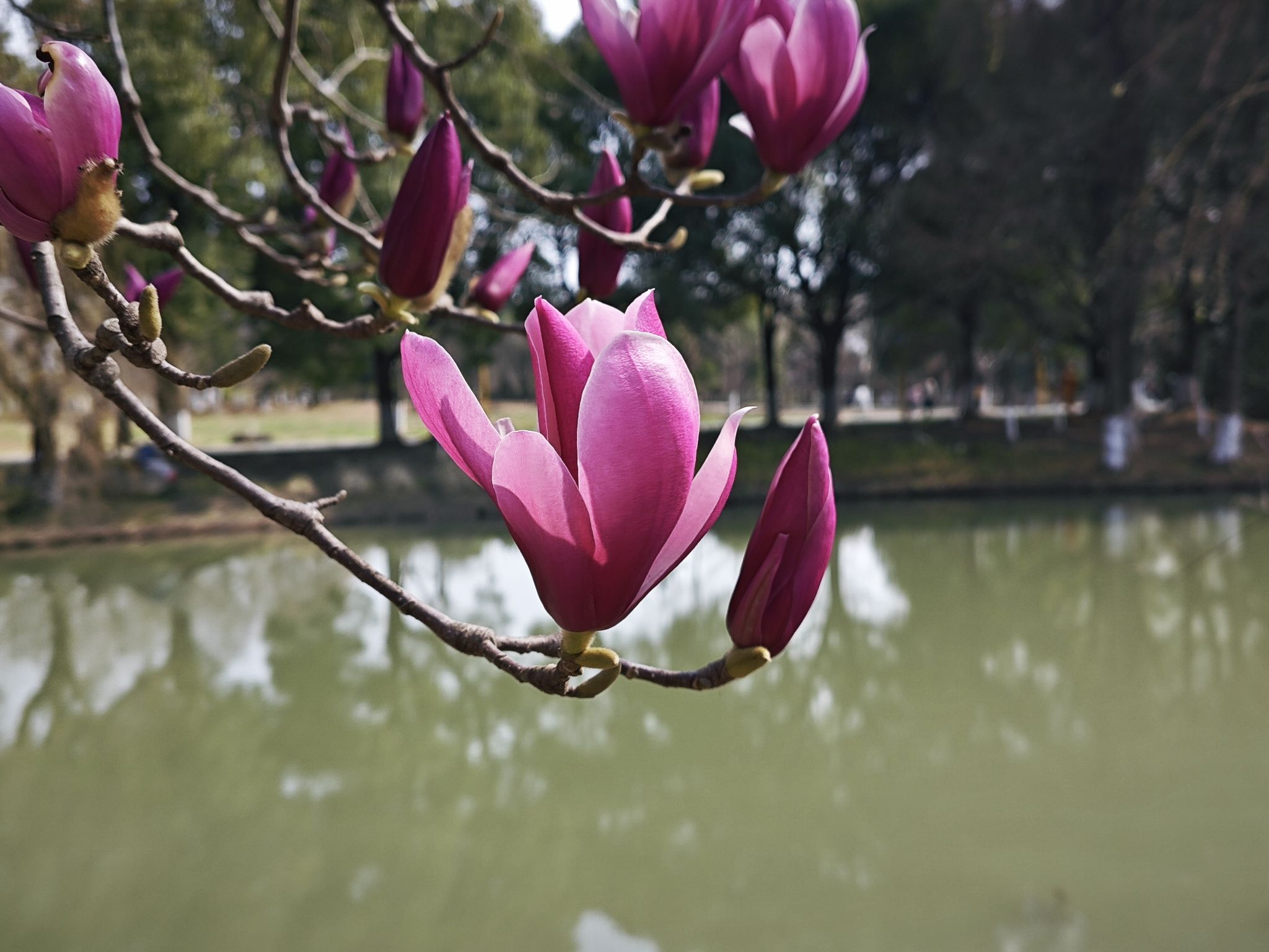 昆山体育生态公园旅行图片 1