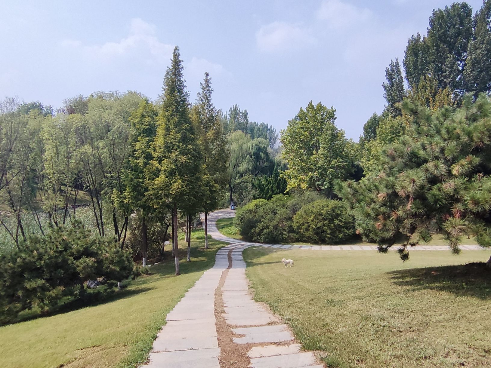 莱芜植物园旅行图片 1