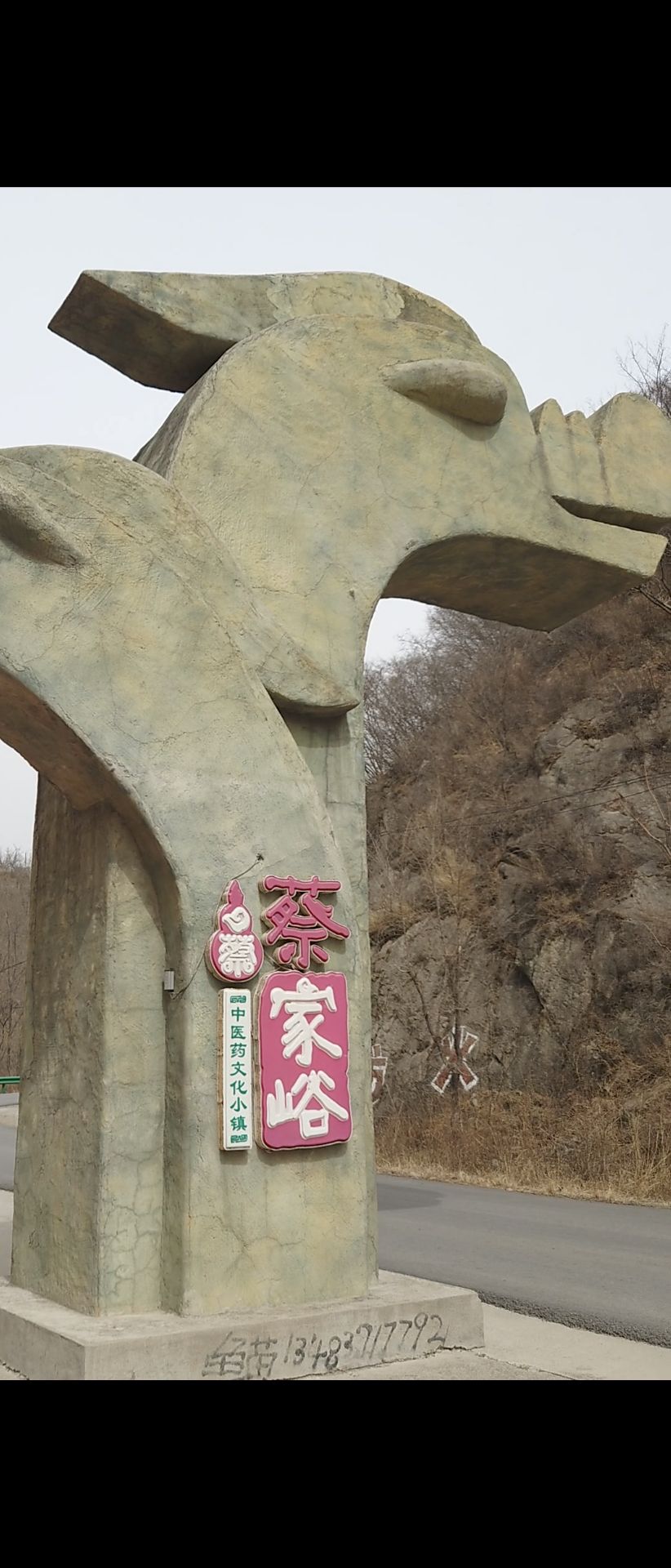 蔡家峪中医药文化小镇旅行图片 1