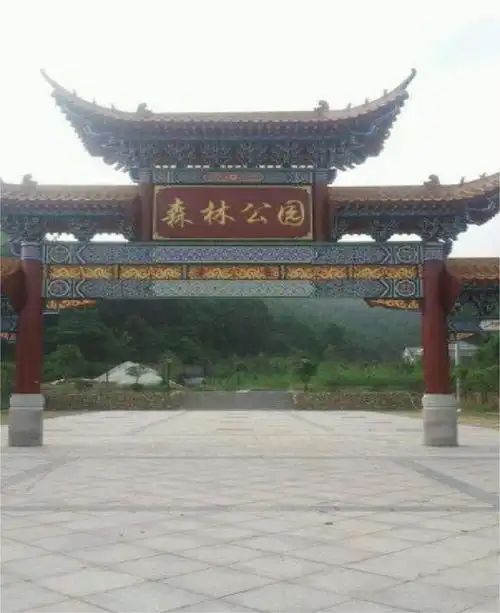 大余县市民森林公园旅行图片 1