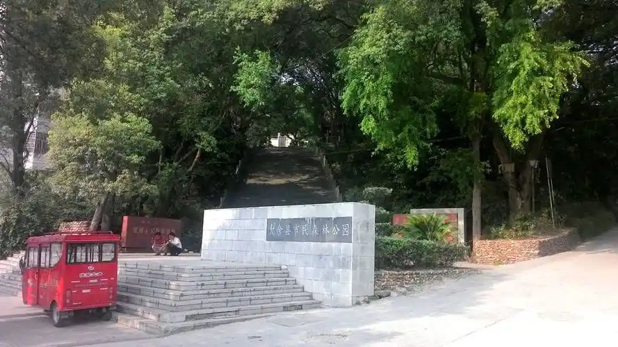 大余县市民森林公园旅行图片 3