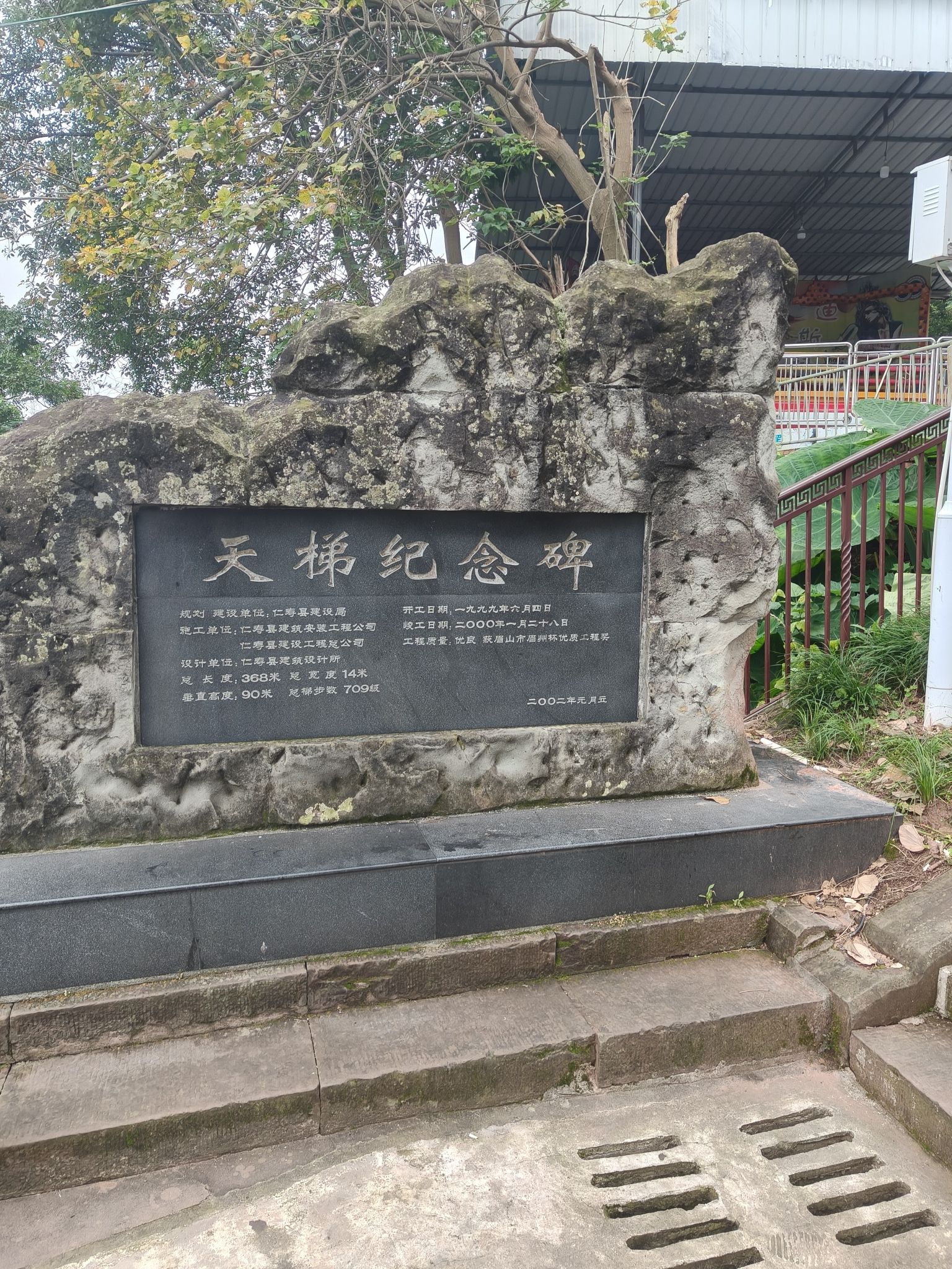 天梯