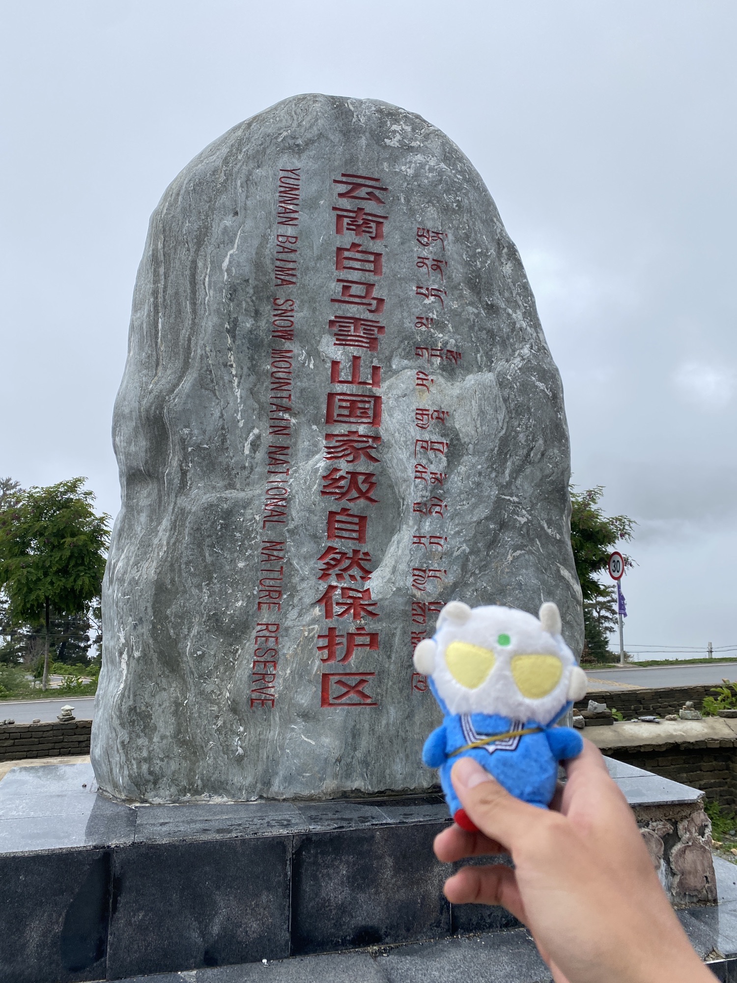 白马雪山自然保护区旅行图片 1