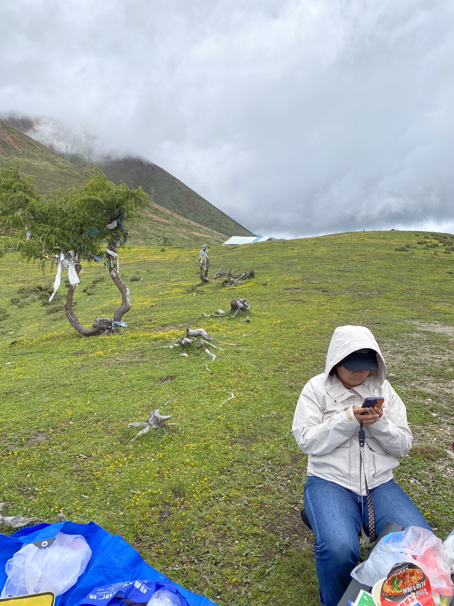 白马雪山自然保护区旅行图片 2