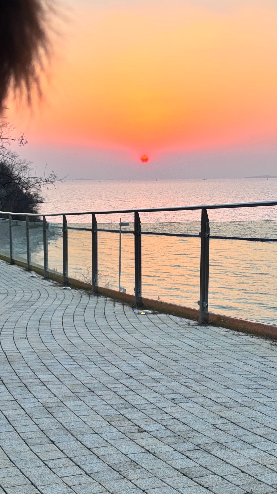 无锡太湖植物园旅行图片 2