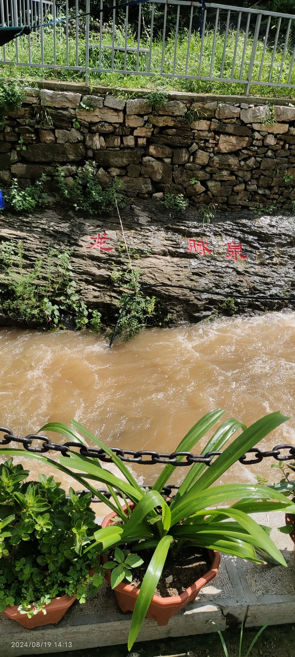 响呼噜泉旅行图片 1