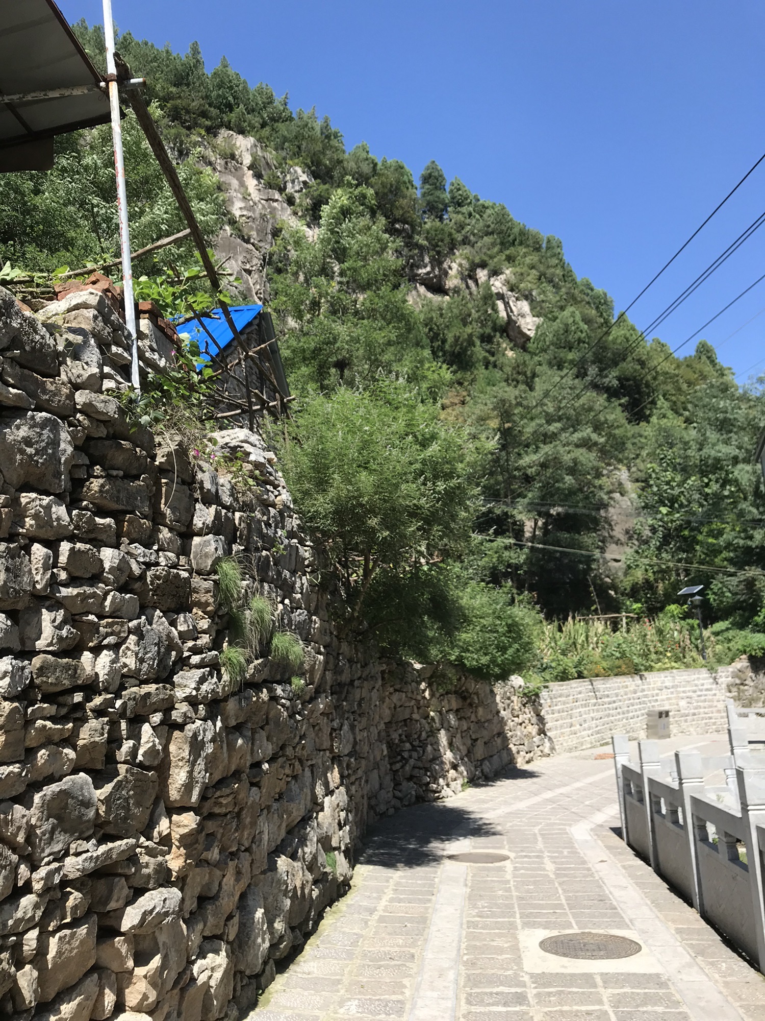 响呼噜泉旅行图片 1