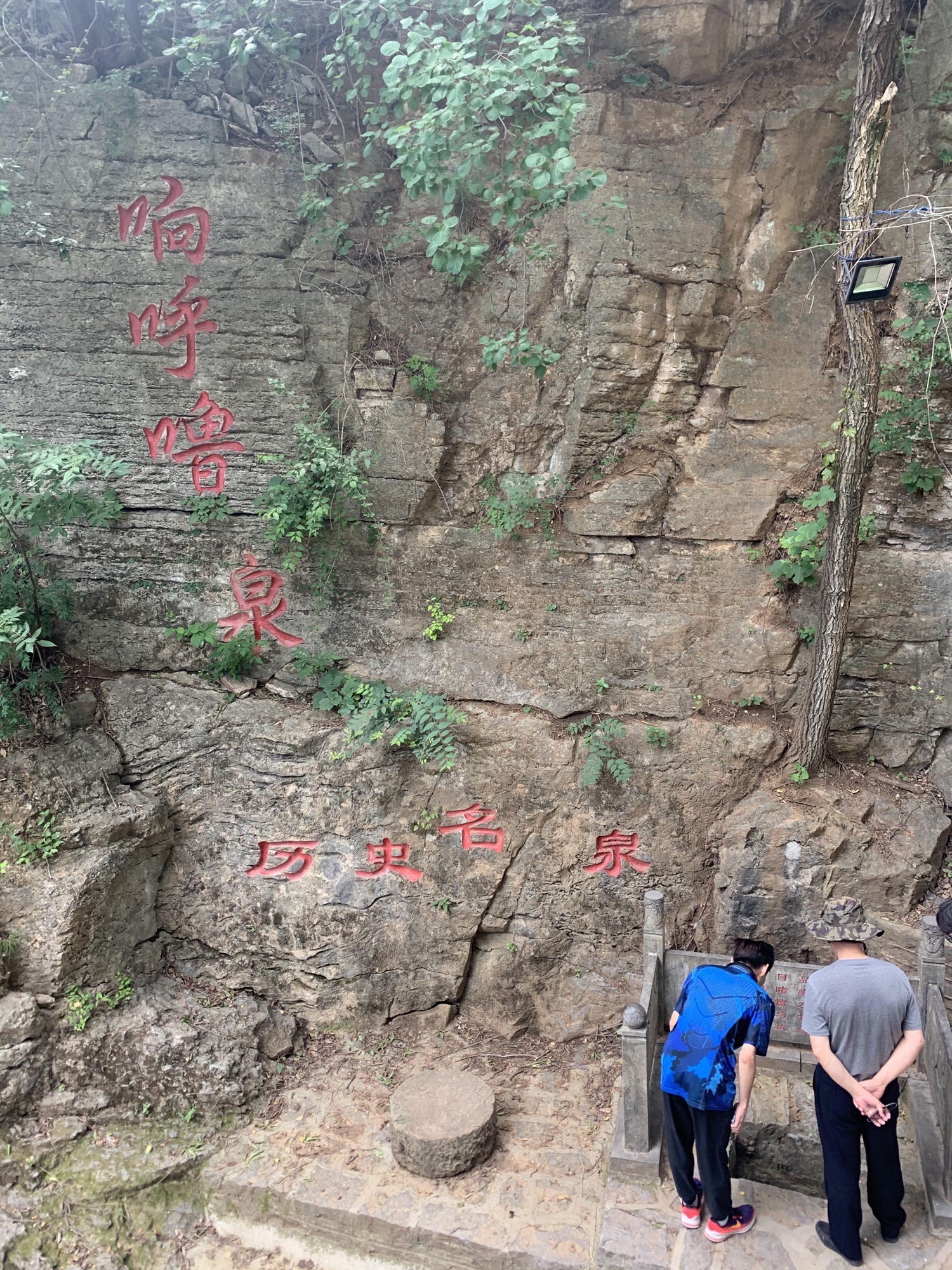 响呼噜泉旅行图片 1