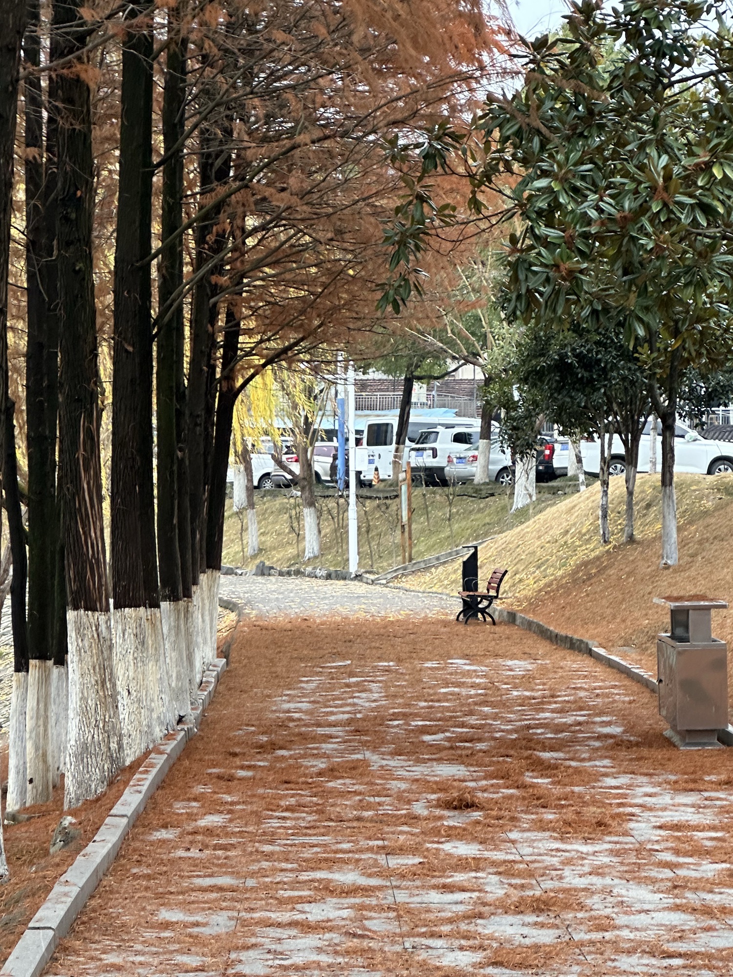 听溪阁-鹤鸣洲旅行图片 3