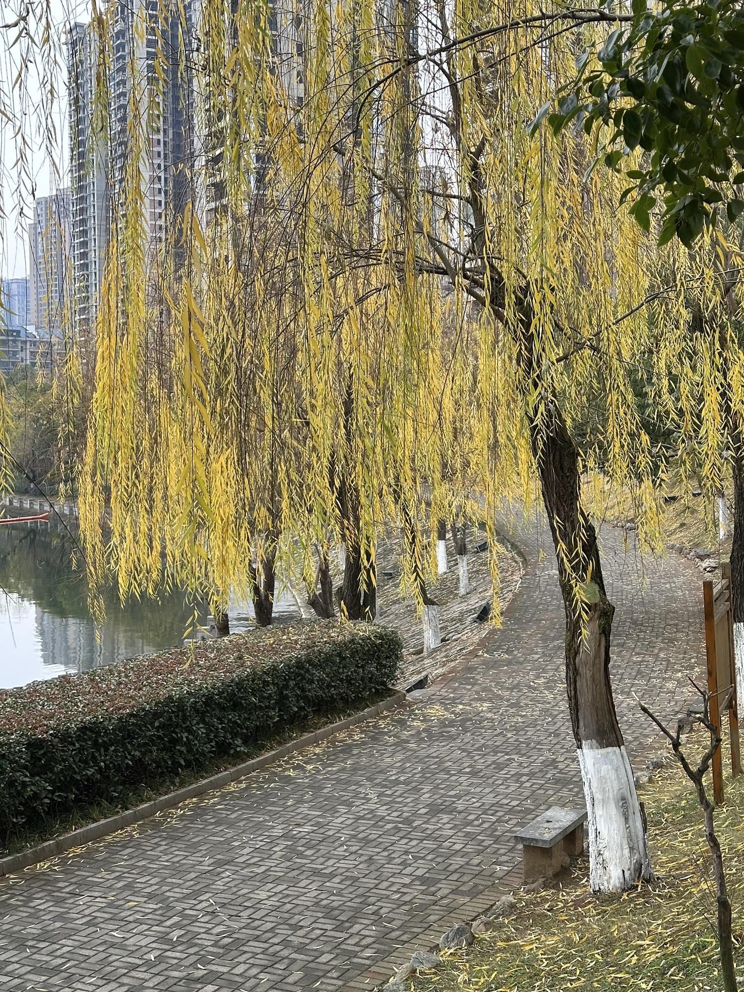 听溪阁-鹤鸣洲旅行图片 1