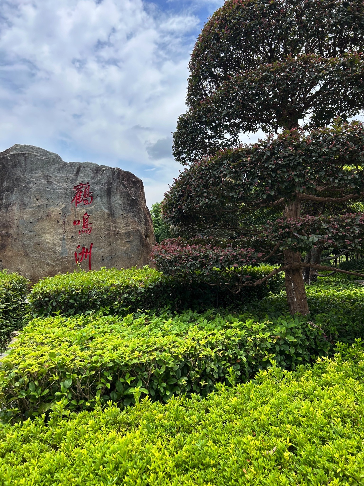 听溪阁-鹤鸣洲旅行图片 1