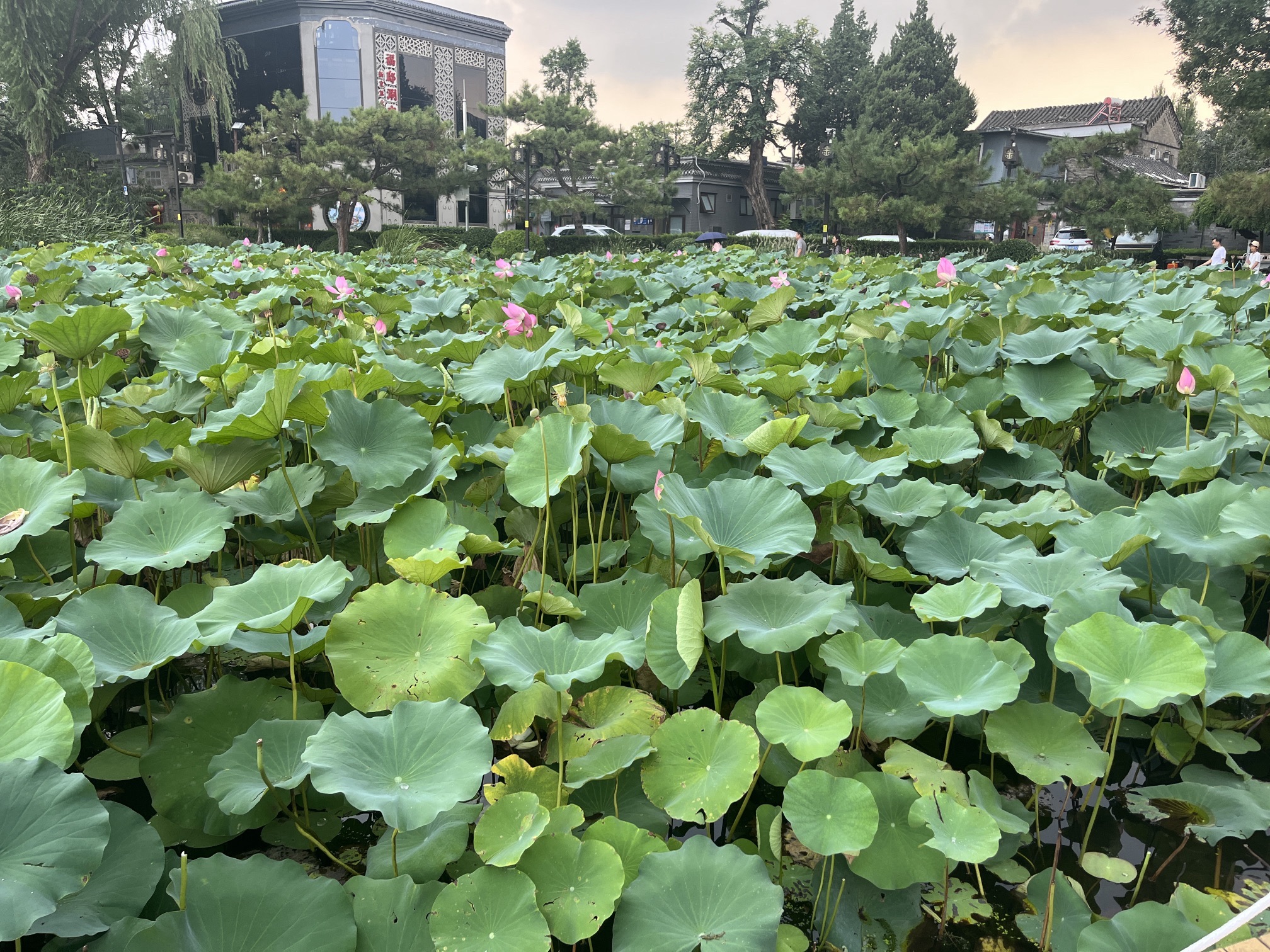西海旅行图片 3